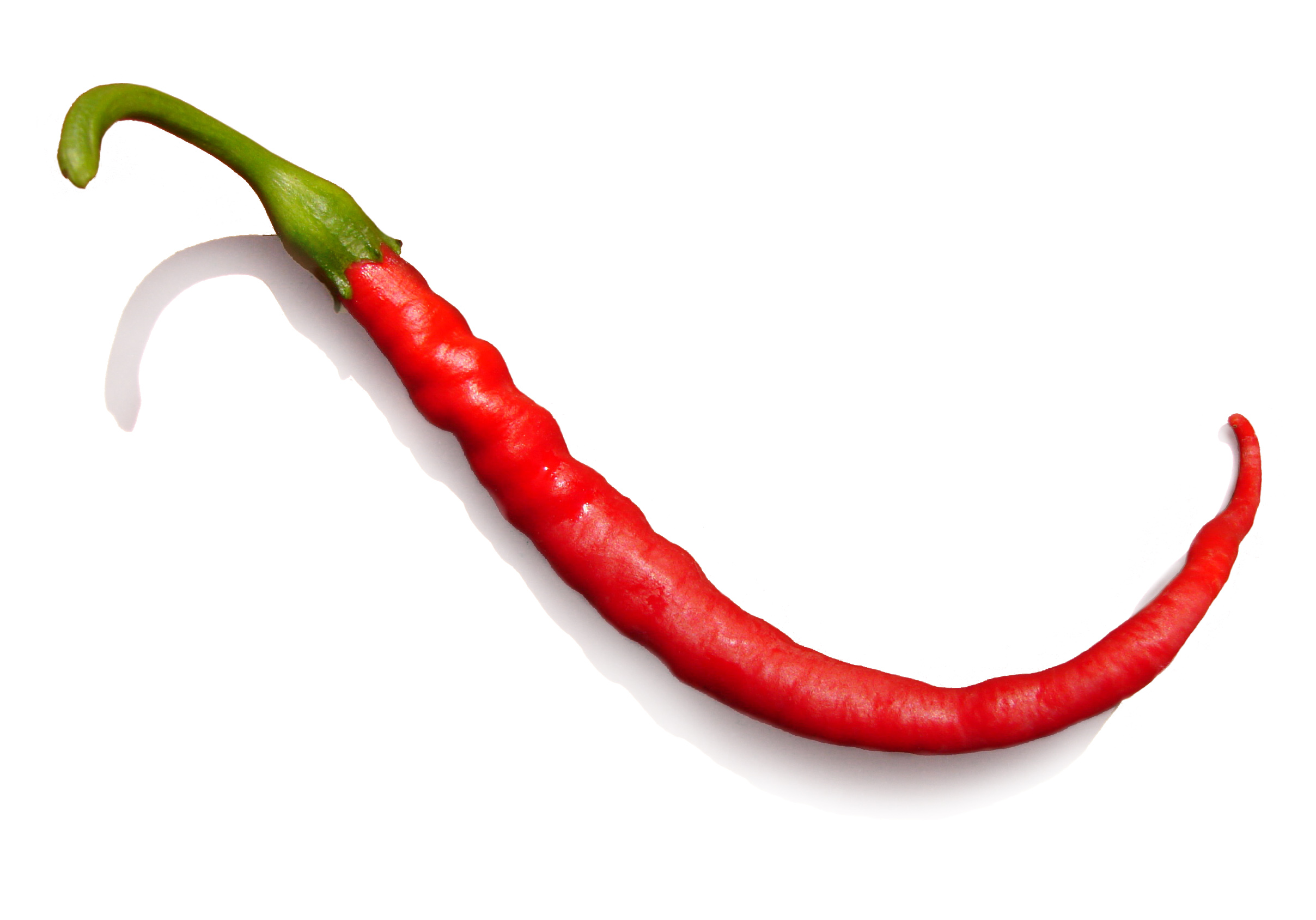 Red Pepper - on white