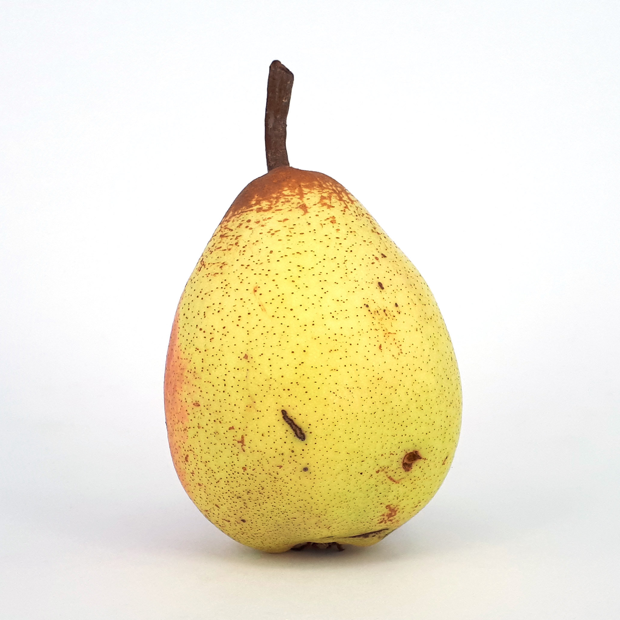 Rocha Pear 2017 A2