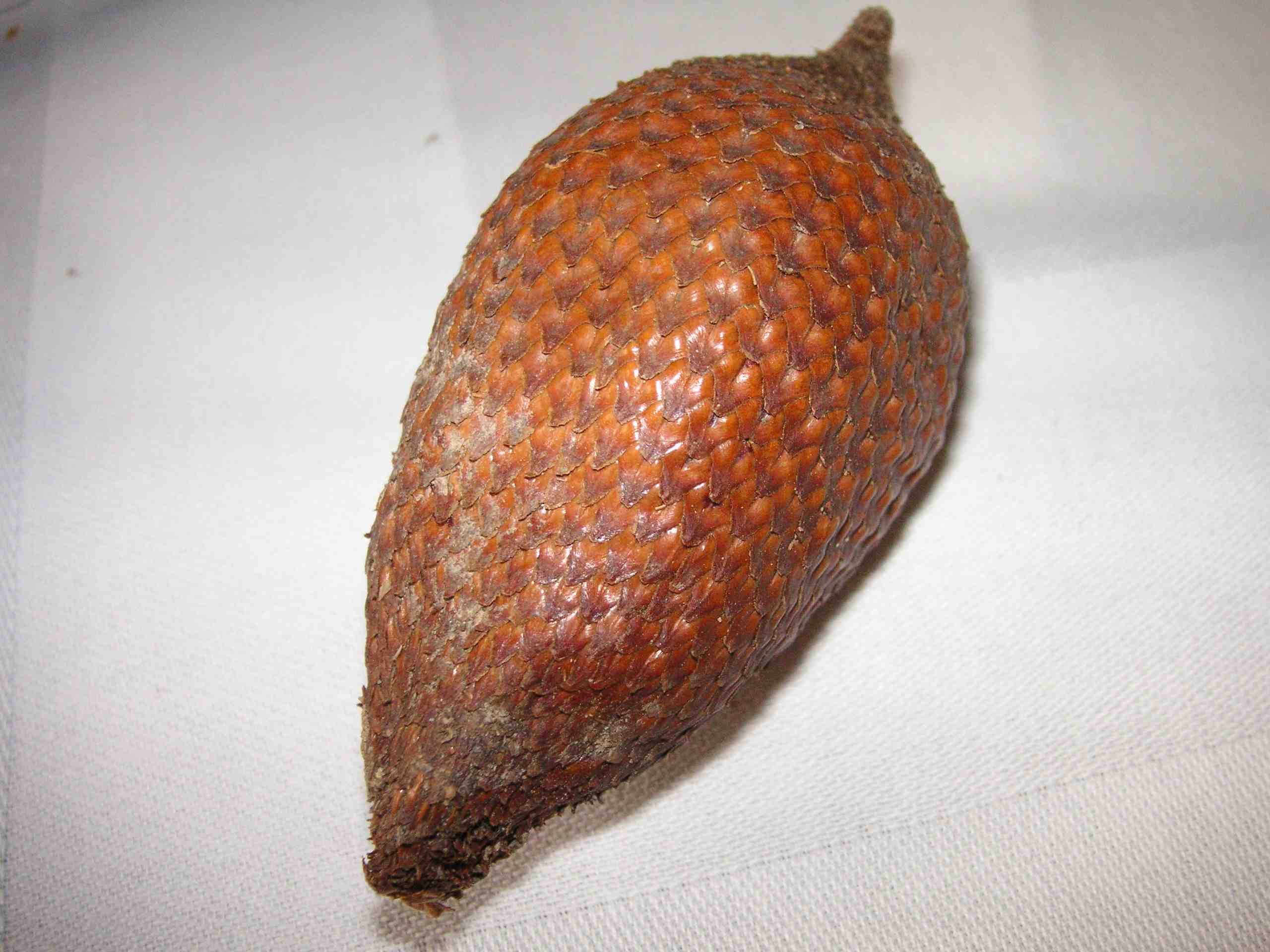 Salak 01