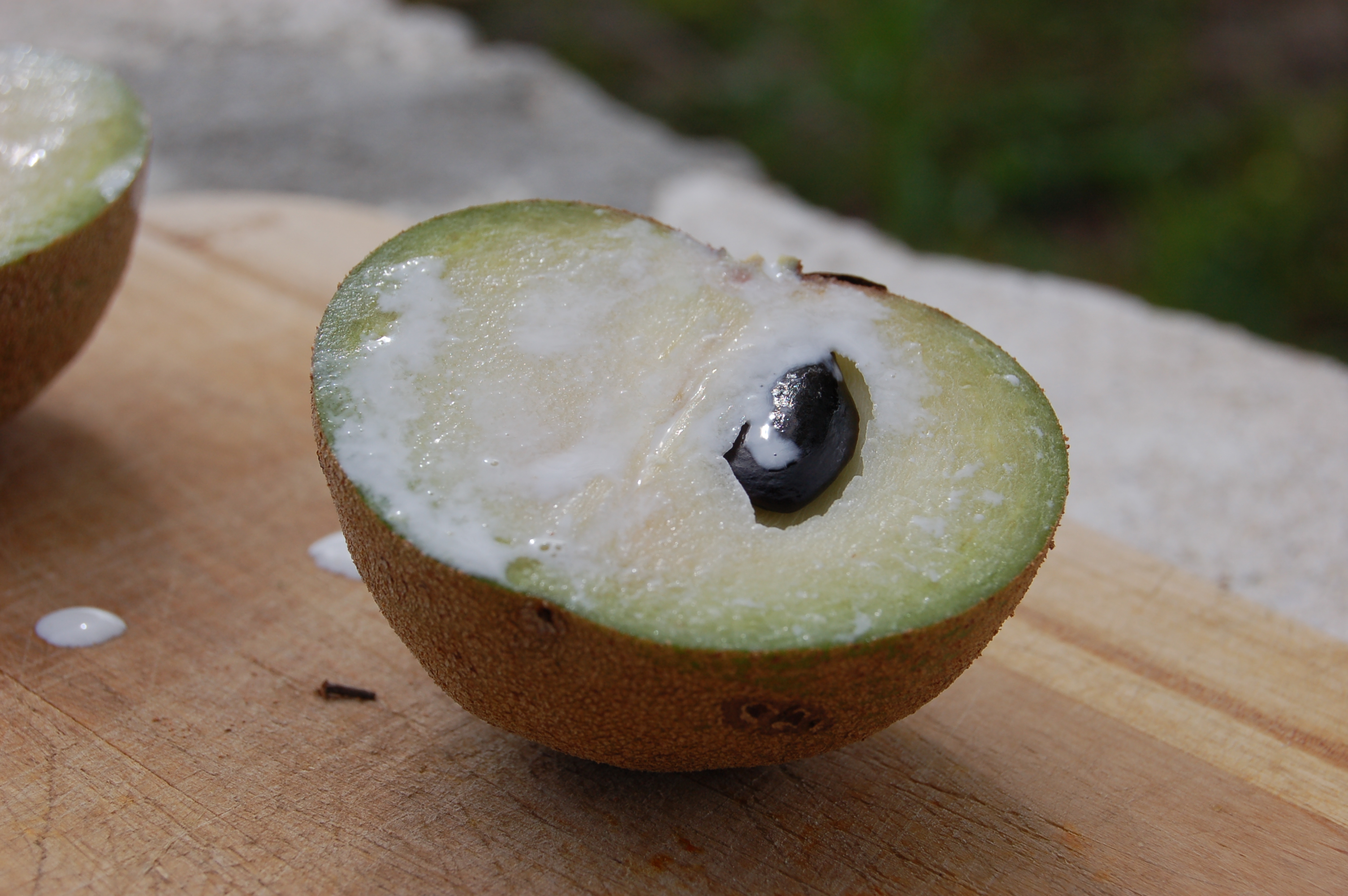 Sapodilla fruit