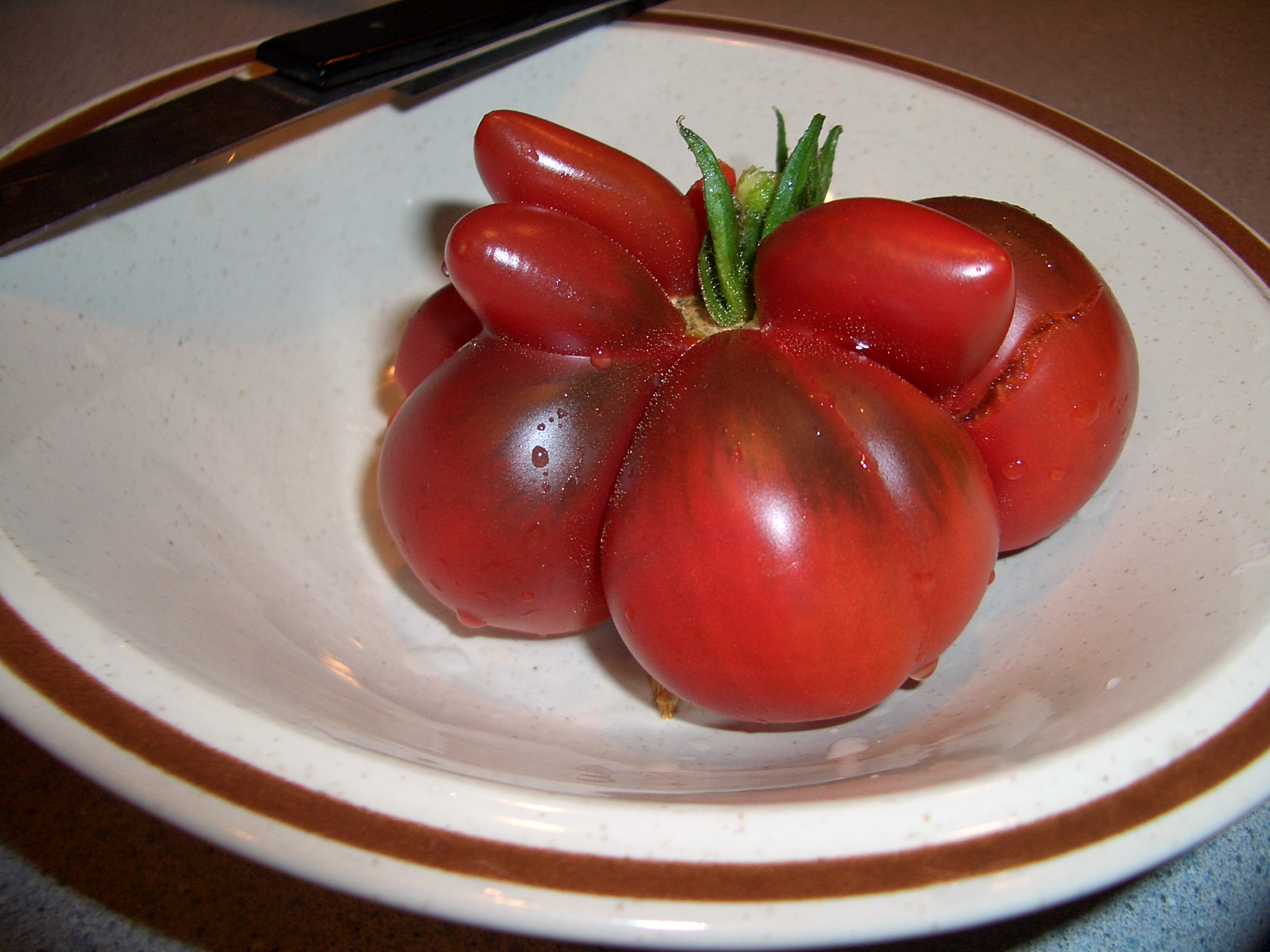Seattle-Heirloom-tomato-2156