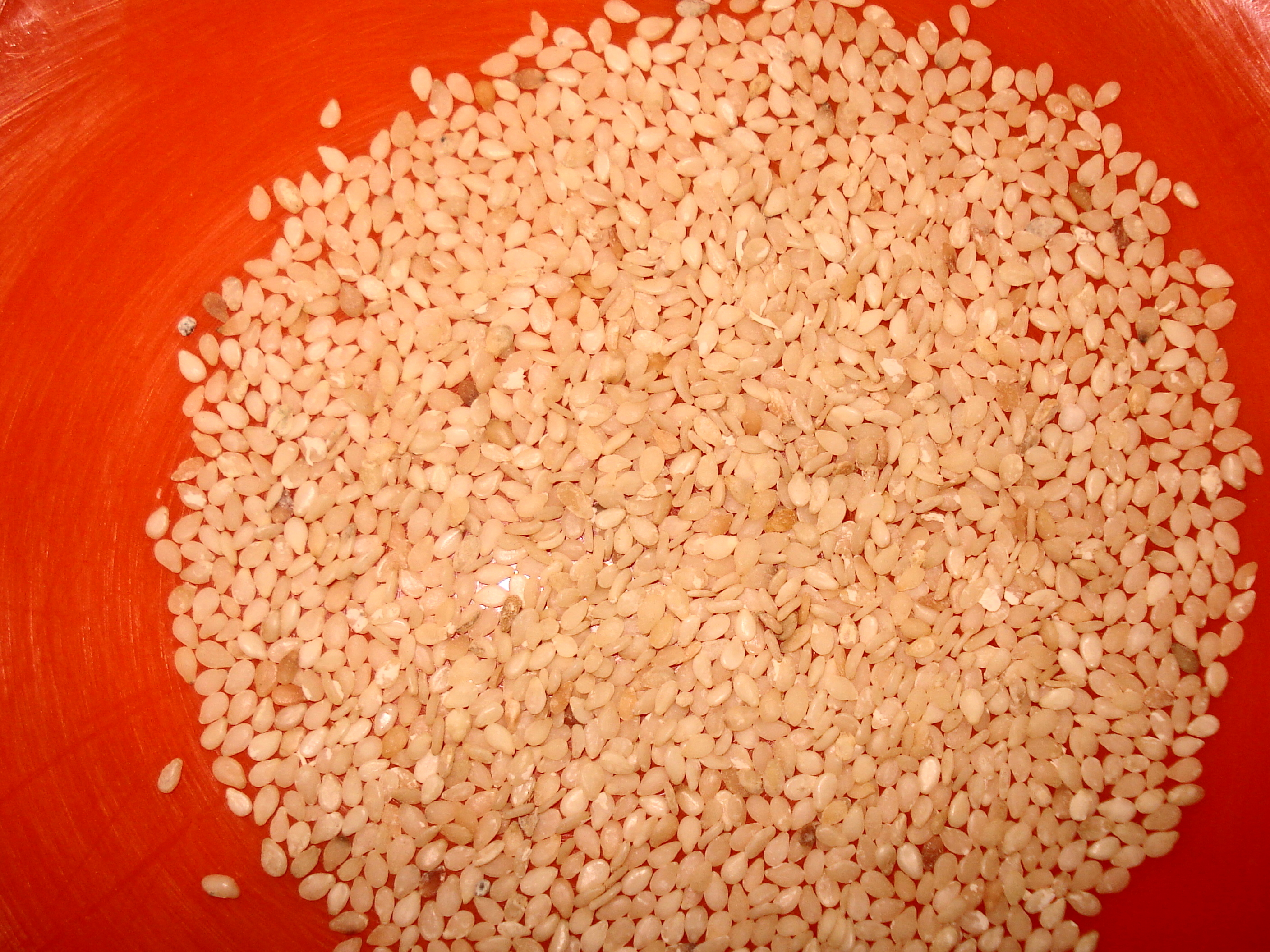 Sesam Seed White