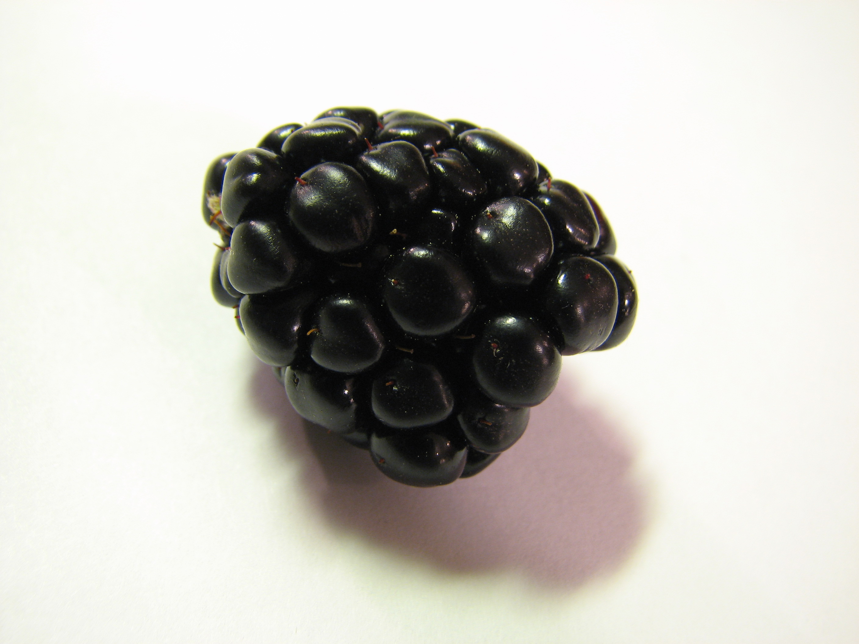 Single blackberry