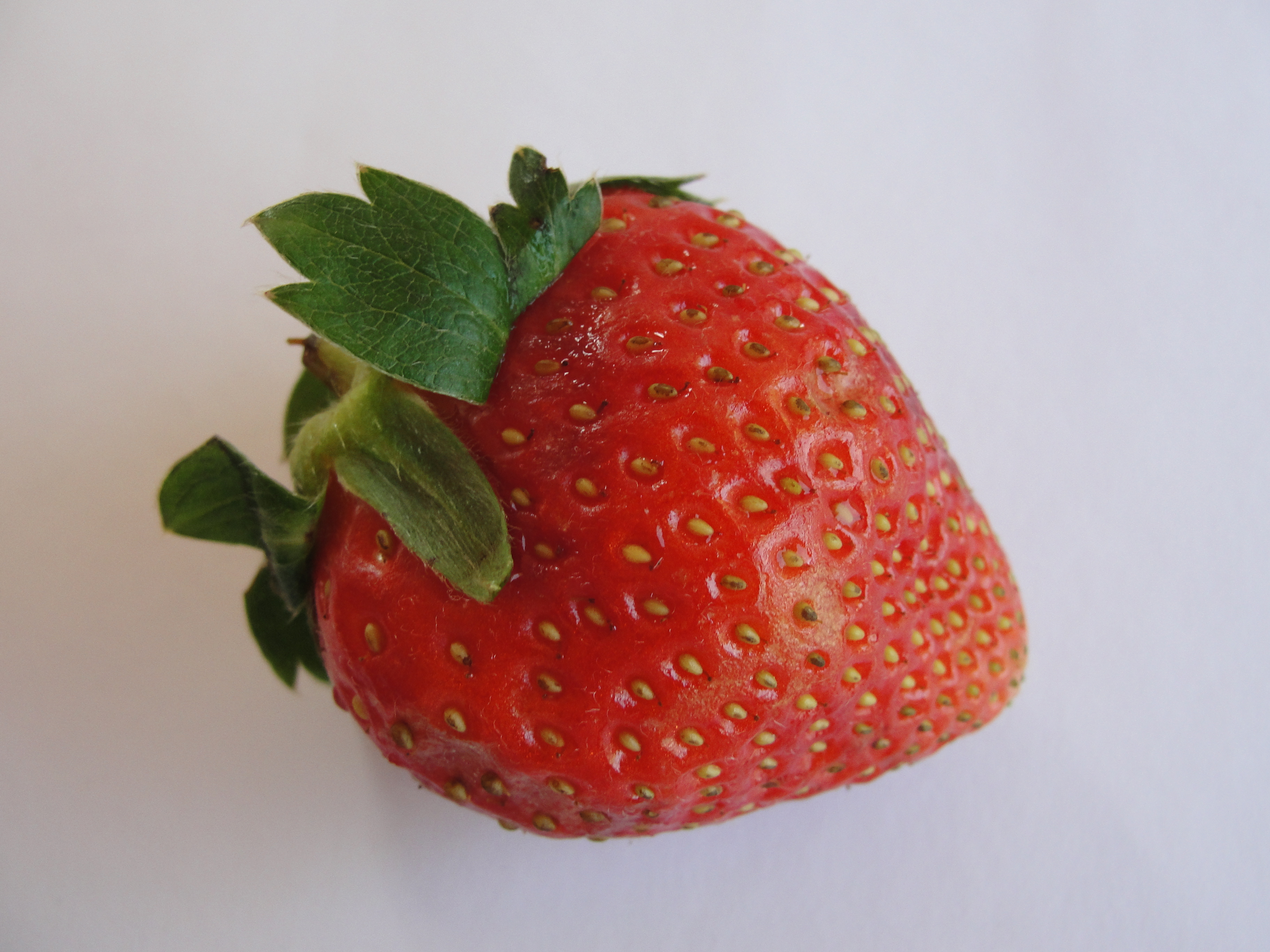 Single strawberry