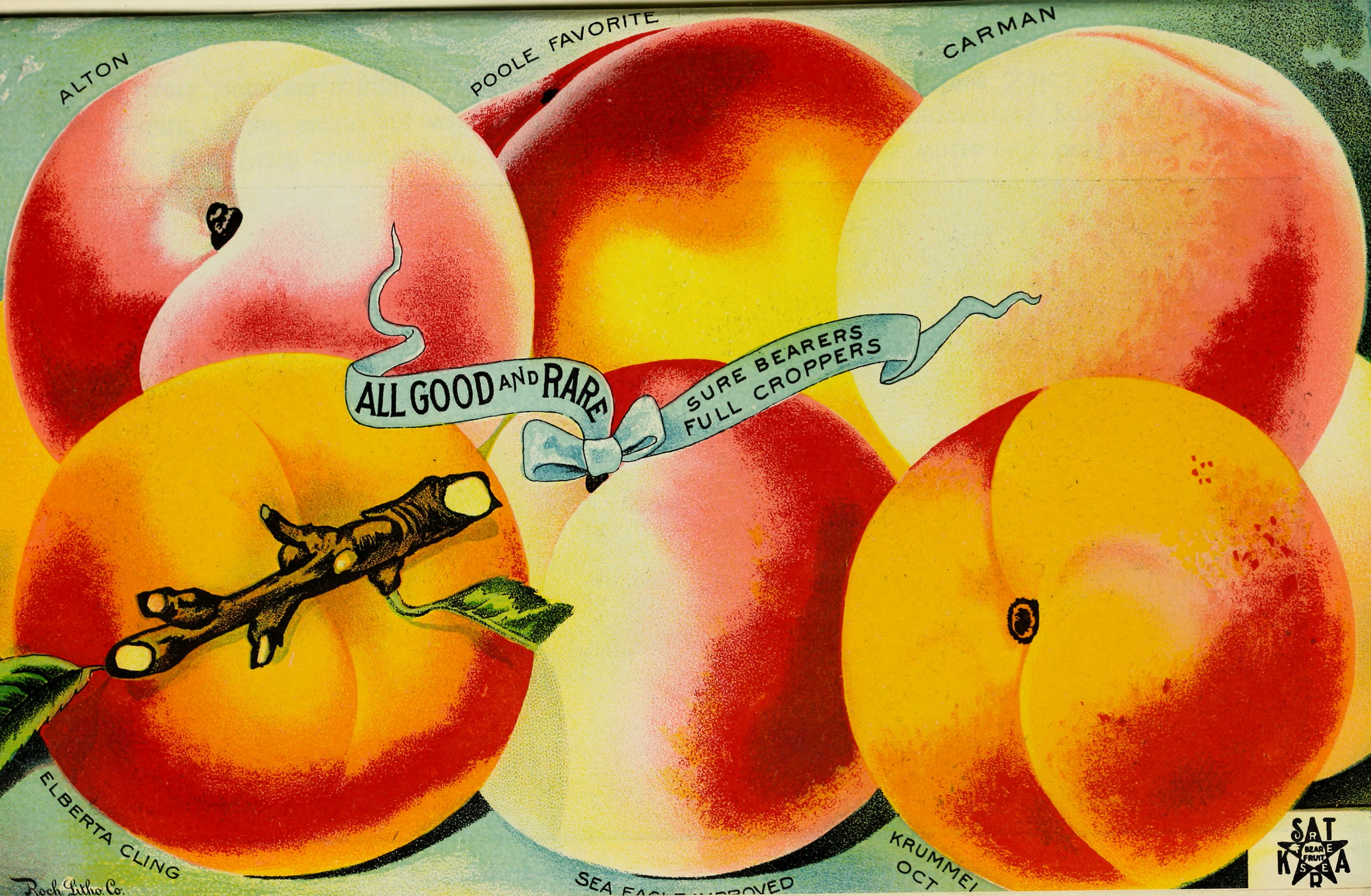 Stark fruit book (1901) (20562538015)