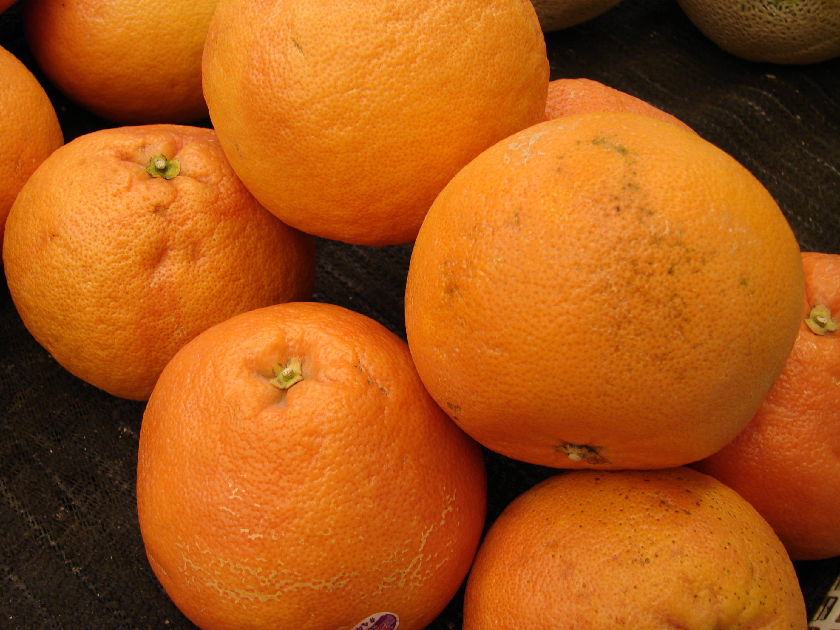 Starr 070730-7914 Citrus x paradisi