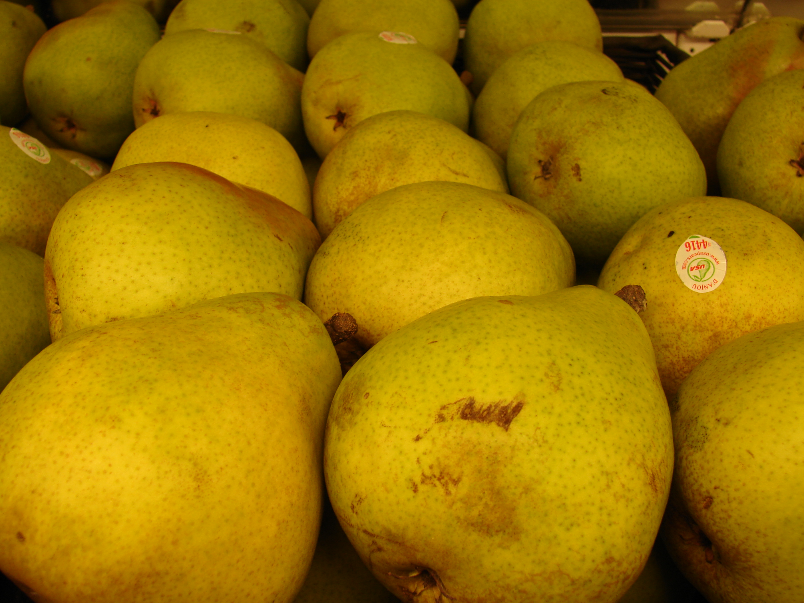 Starr 070730-7919 Pyrus communis