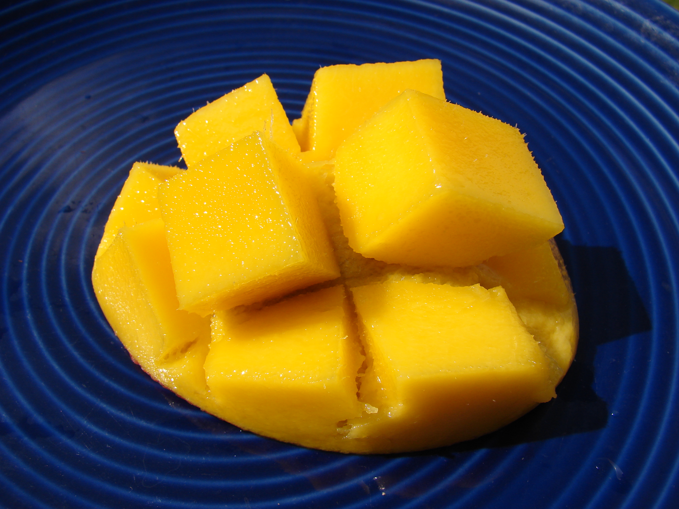 Starr 080417-4171 Mangifera indica