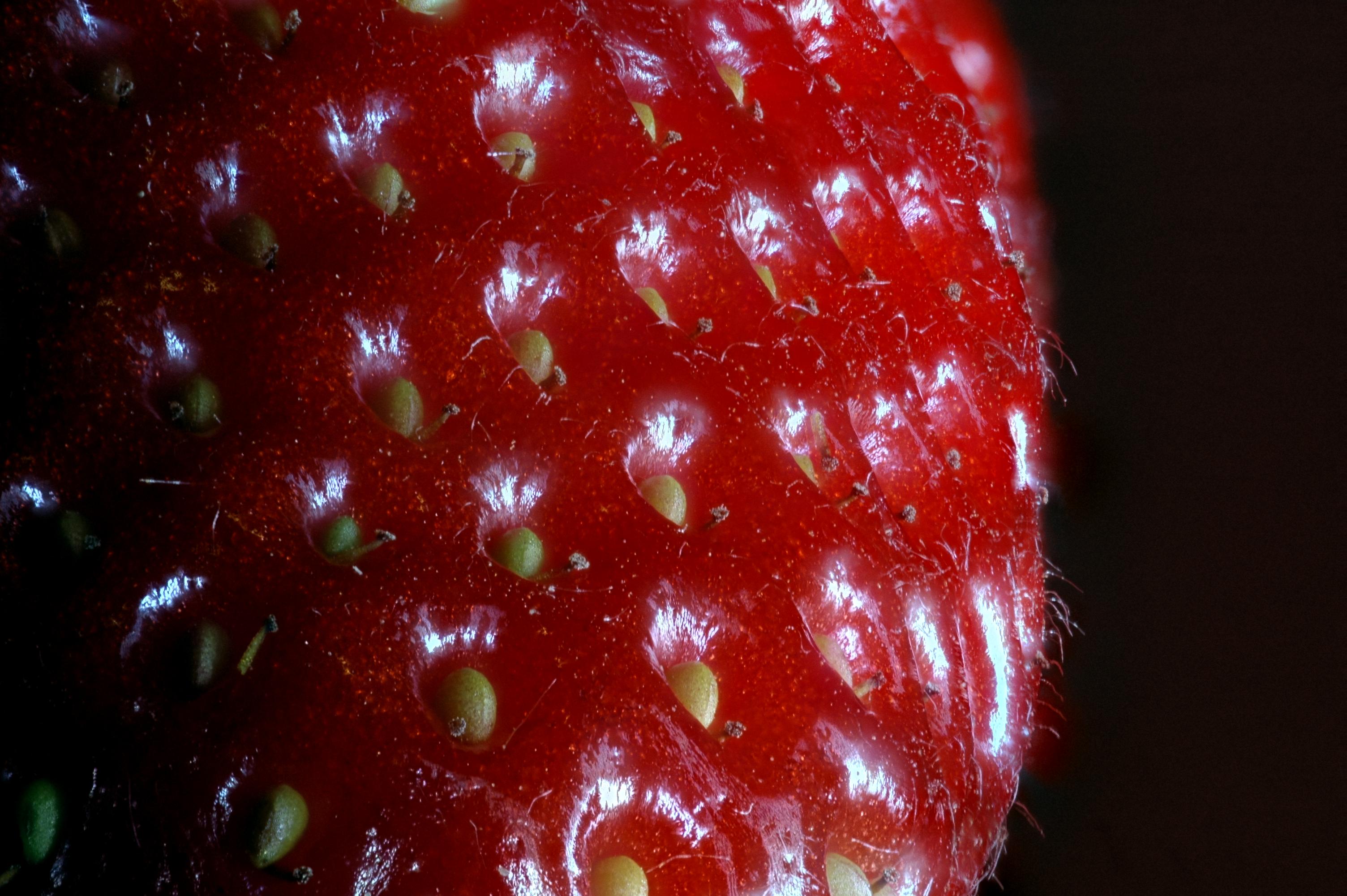 Strawberry focus stacked macro
