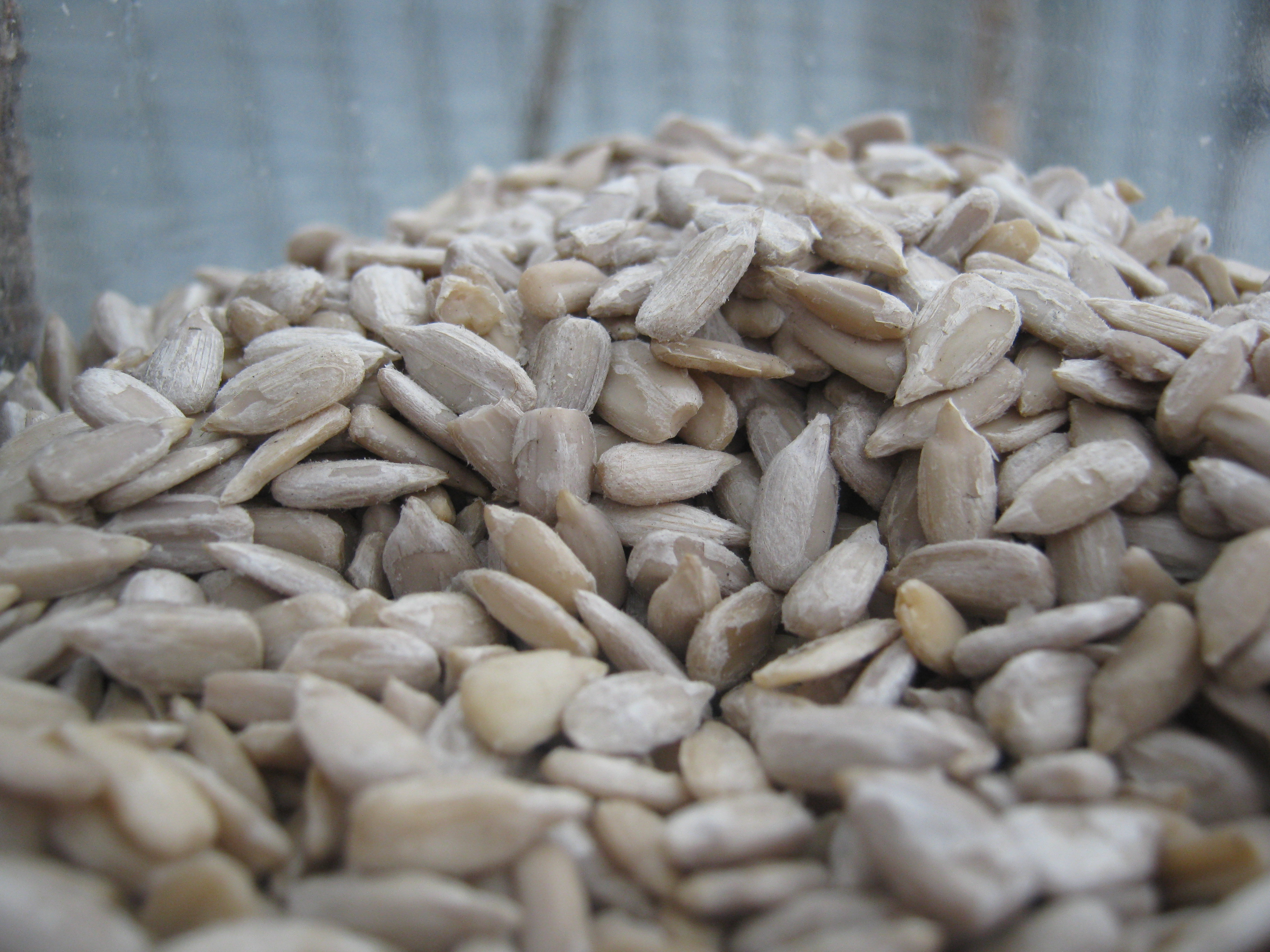Sunflower seeds 1