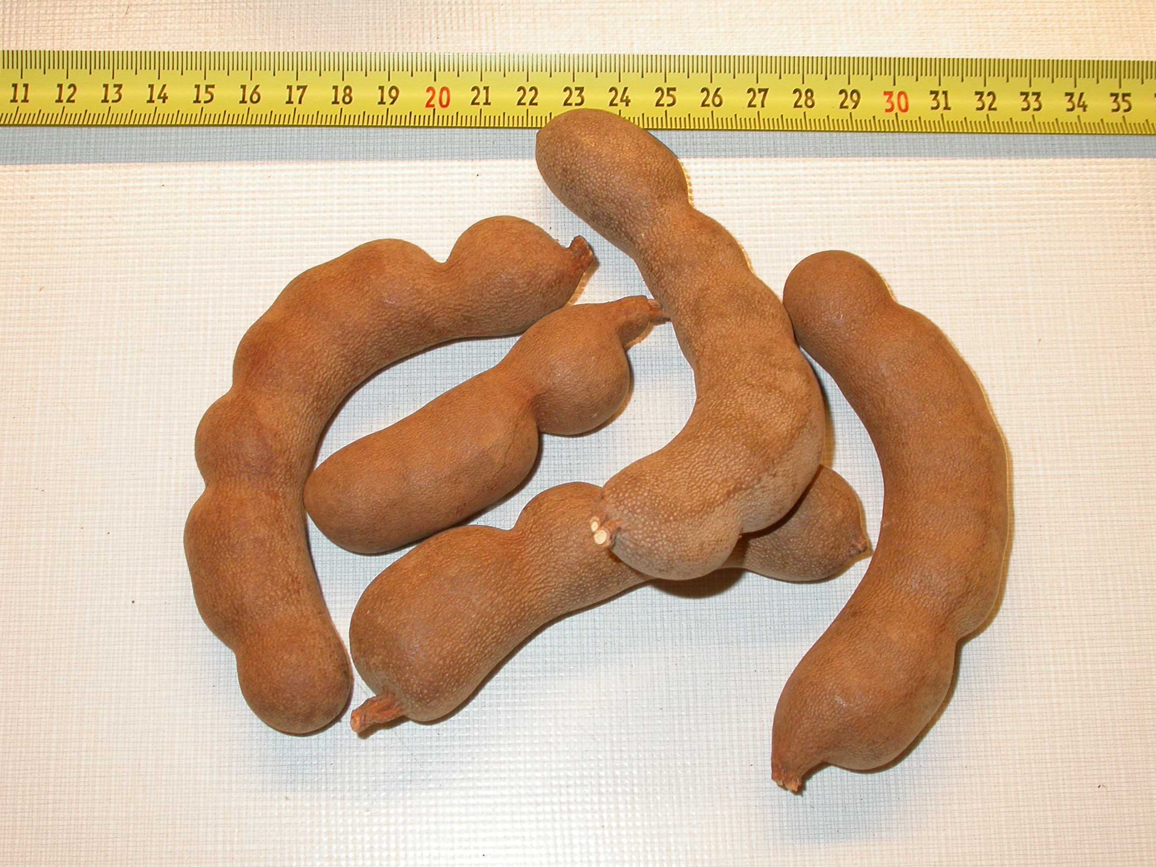 Tamarind