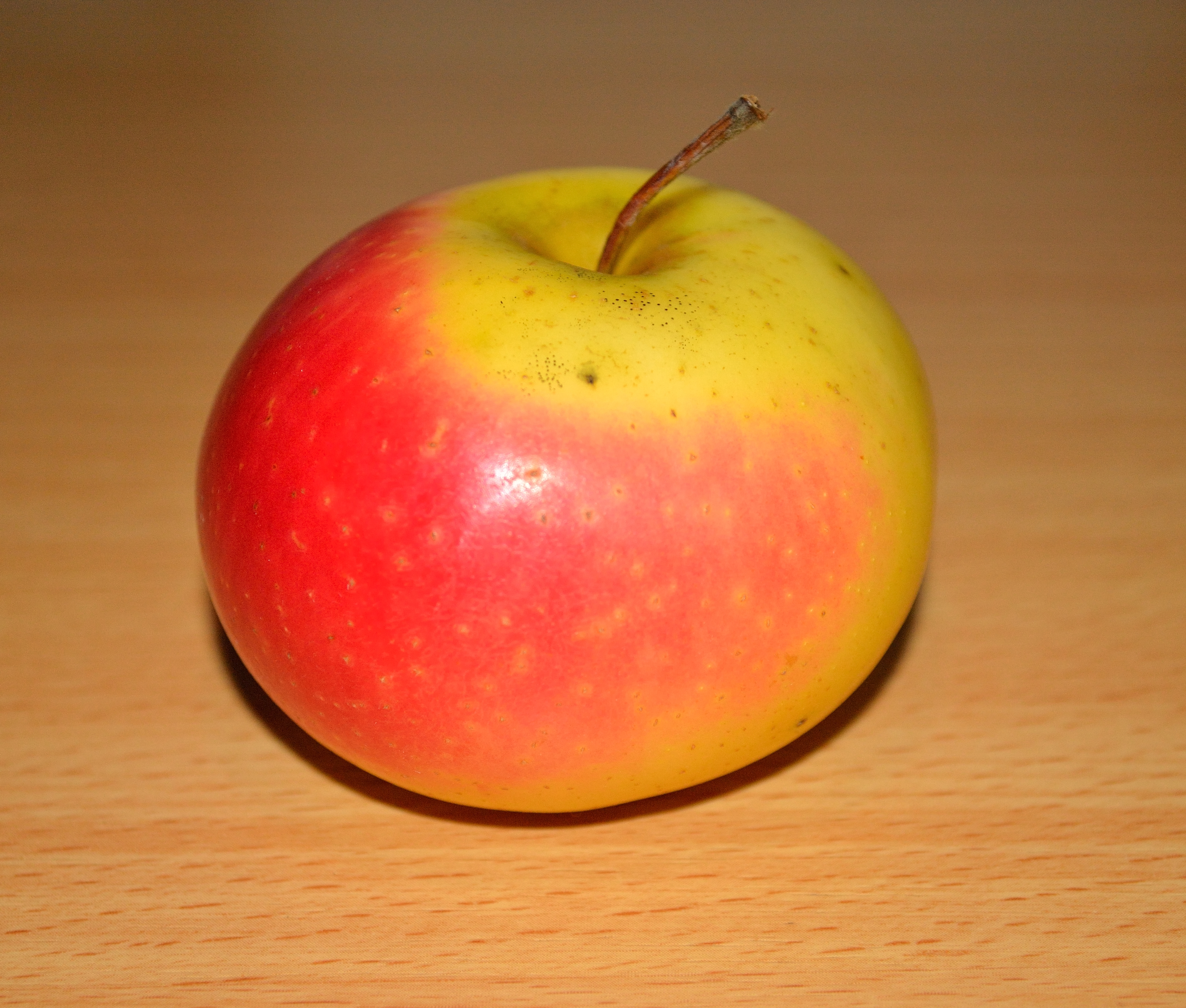 Tellissaare