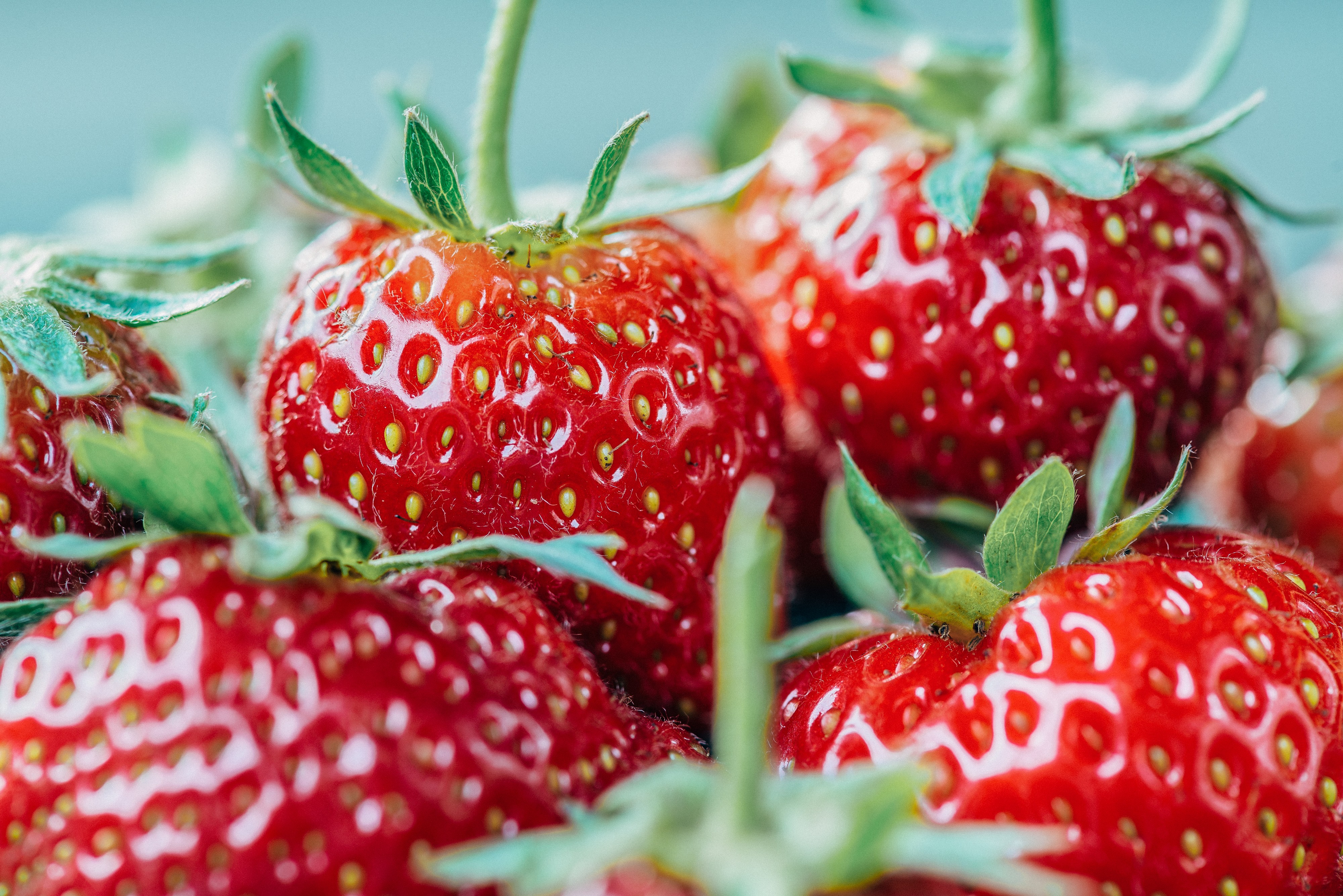 A Fresh Healthy Snack (Unsplash)