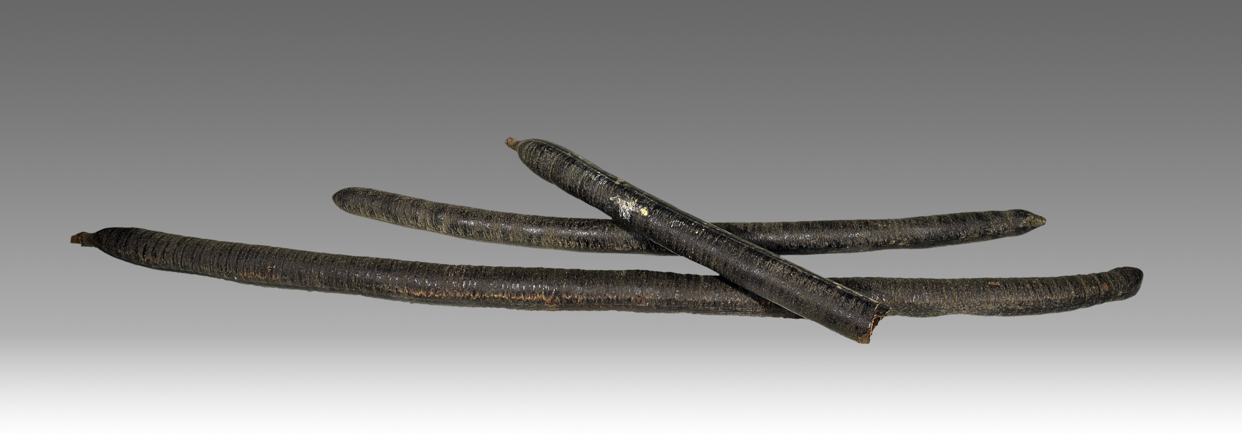 Cassia fistula MHNT.BOT.2007.26.54