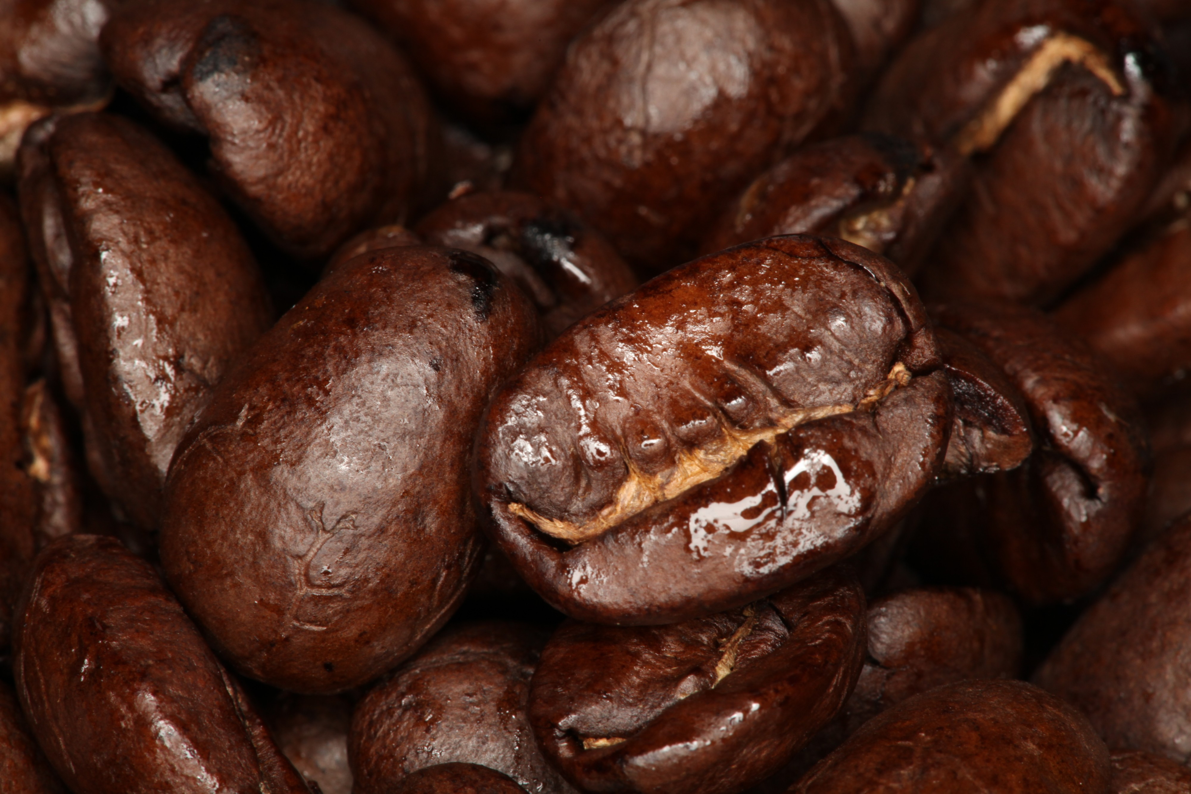Coffee Beans macro 5