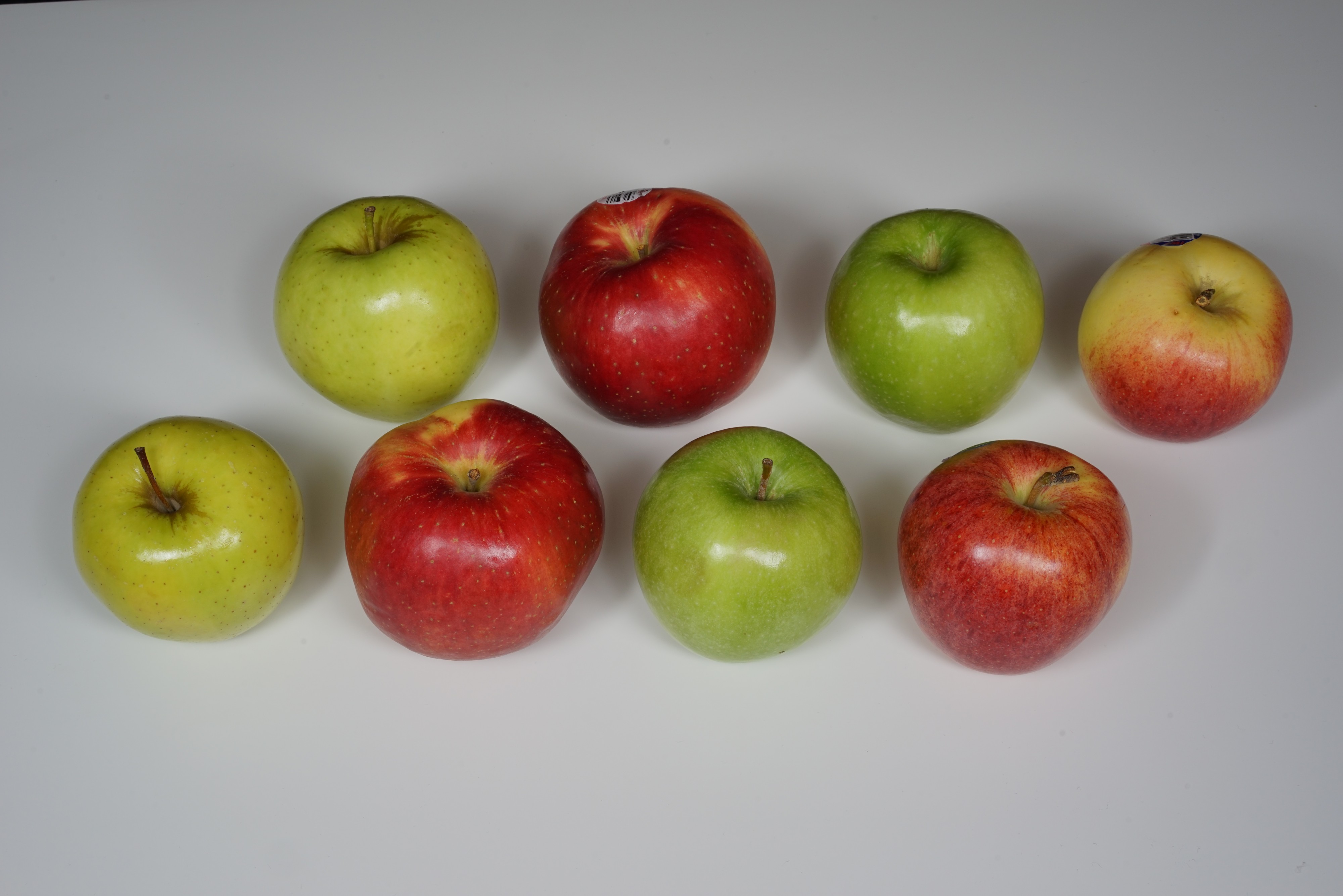 Golden Delicious, SweeTango, Granny Smith, and Gala apples 2