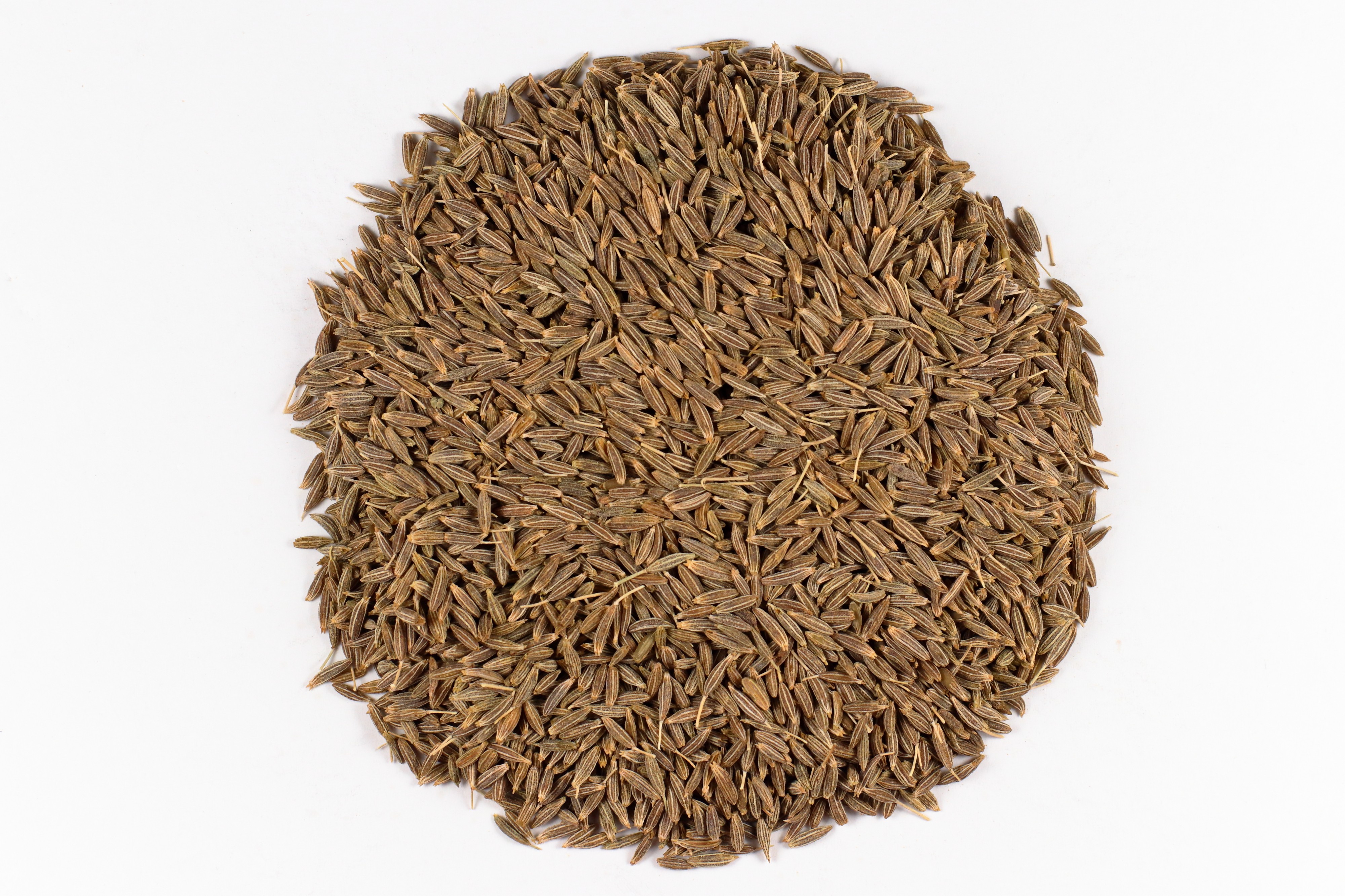Seeds of Cumin