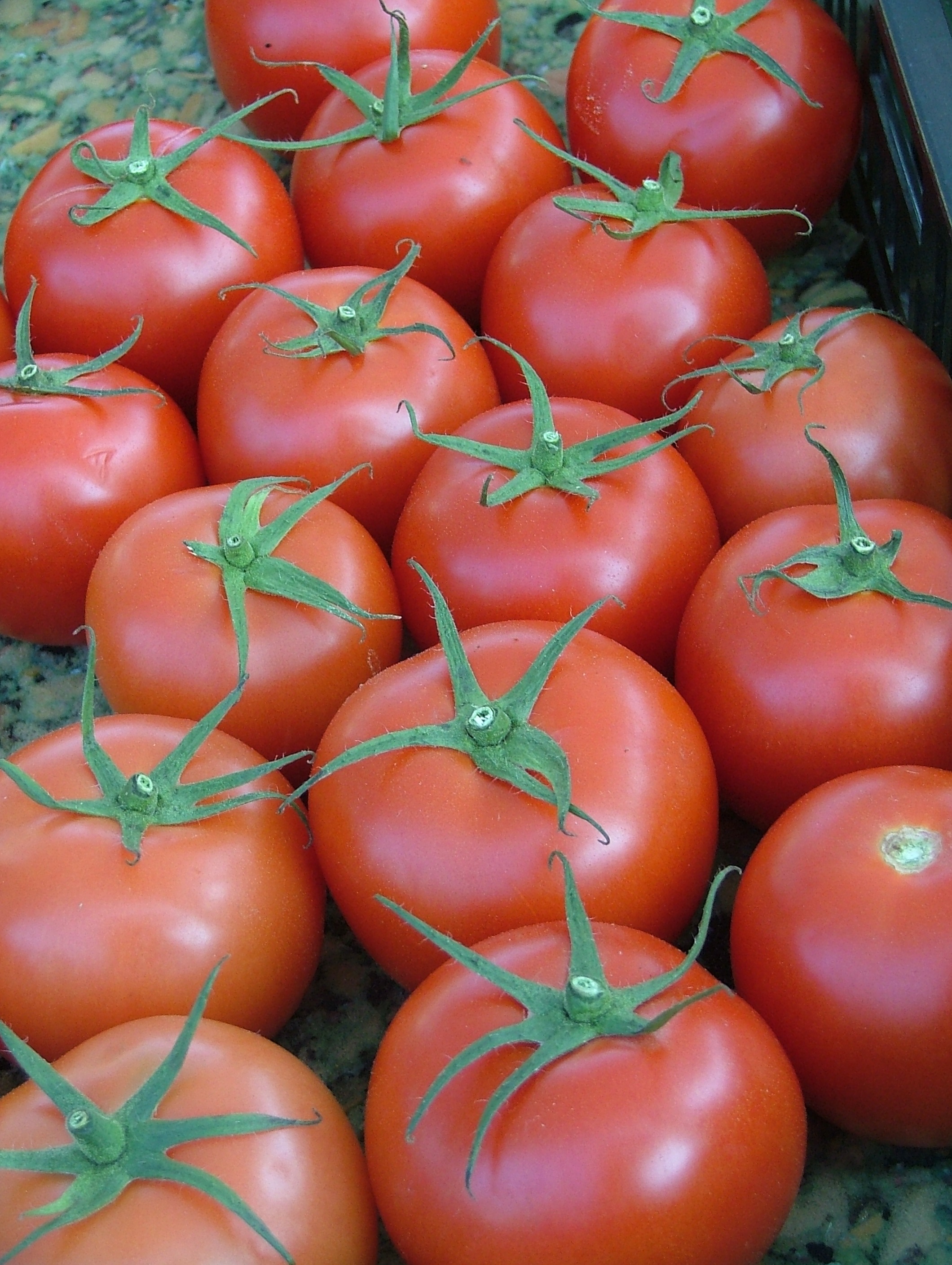 Tomatoes Red Cherry 2120px
