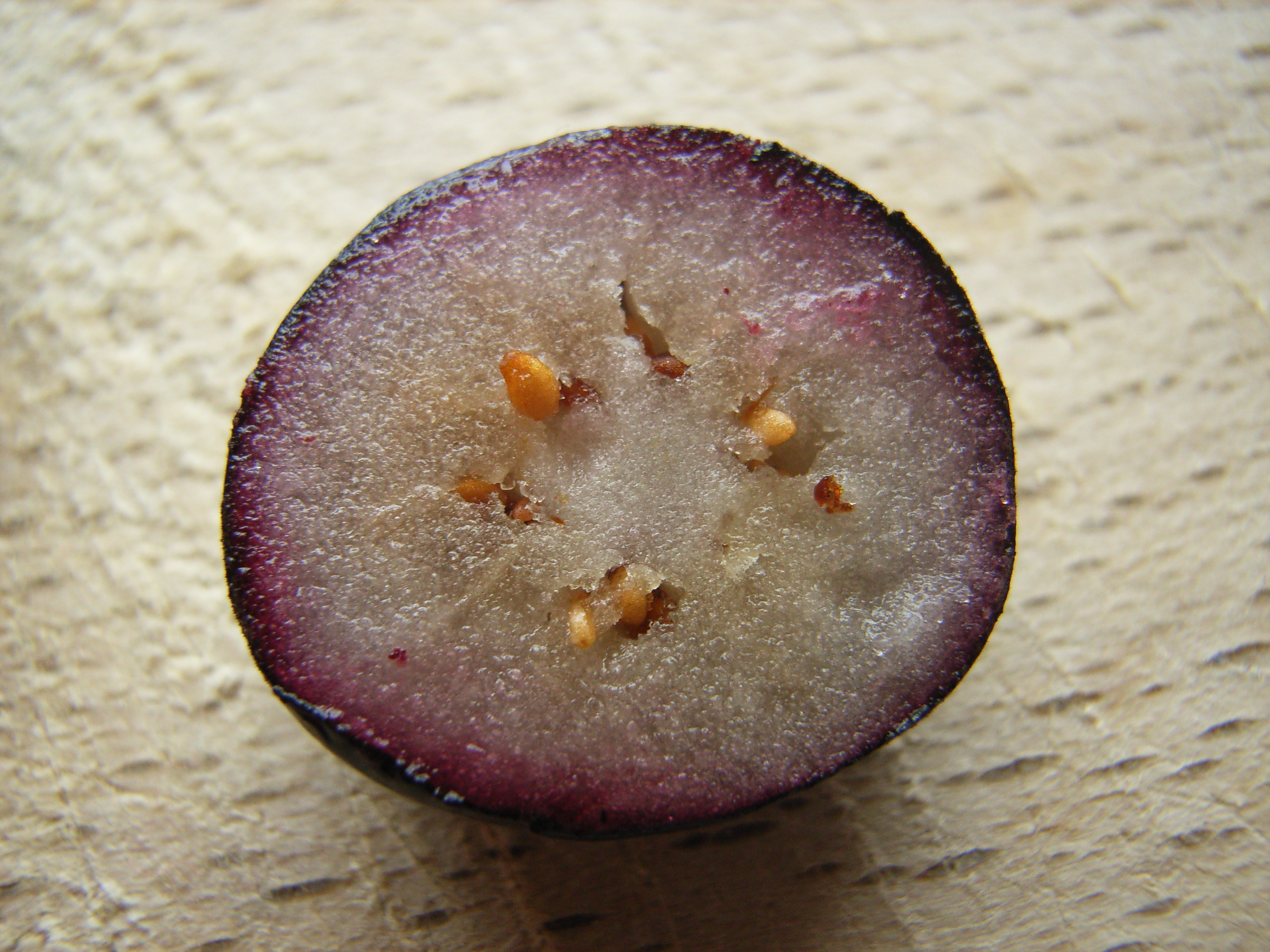 Vaccinium fruit