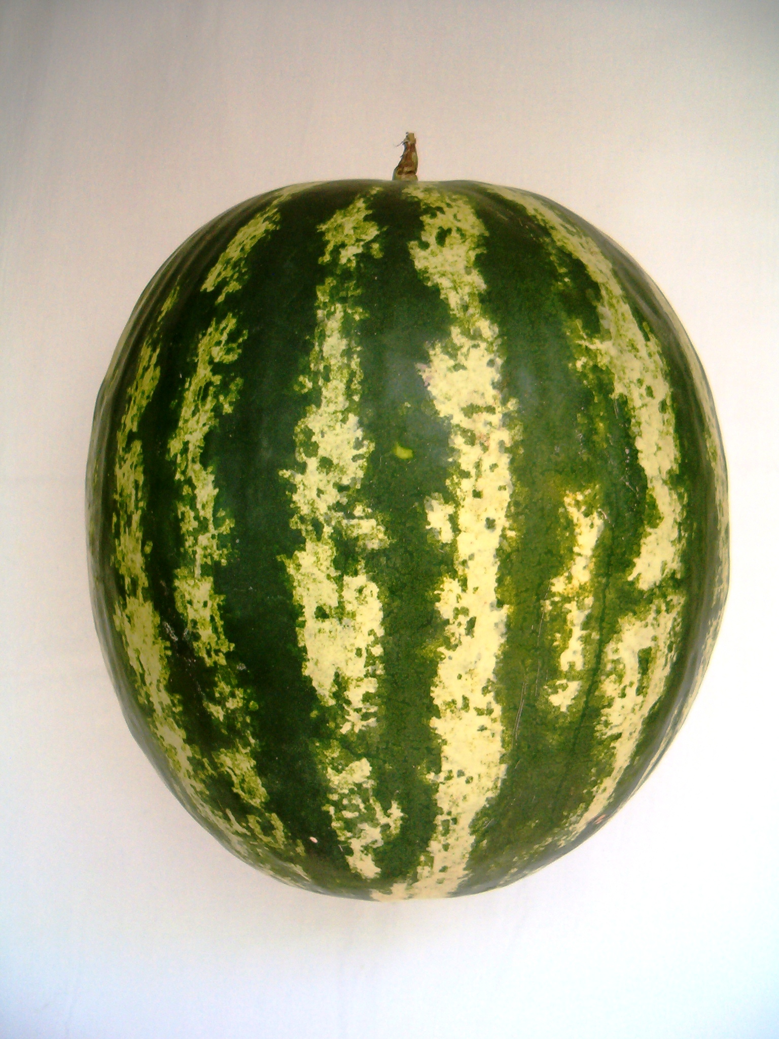 Watermelon1