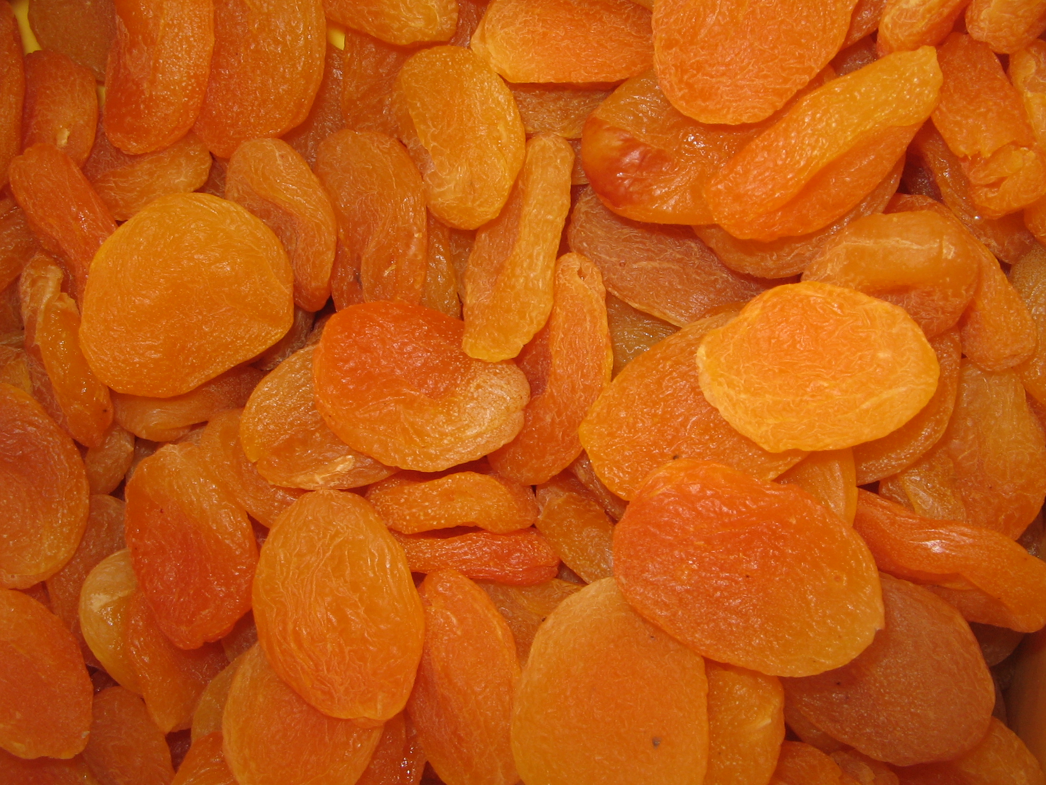 YosriApricotKering