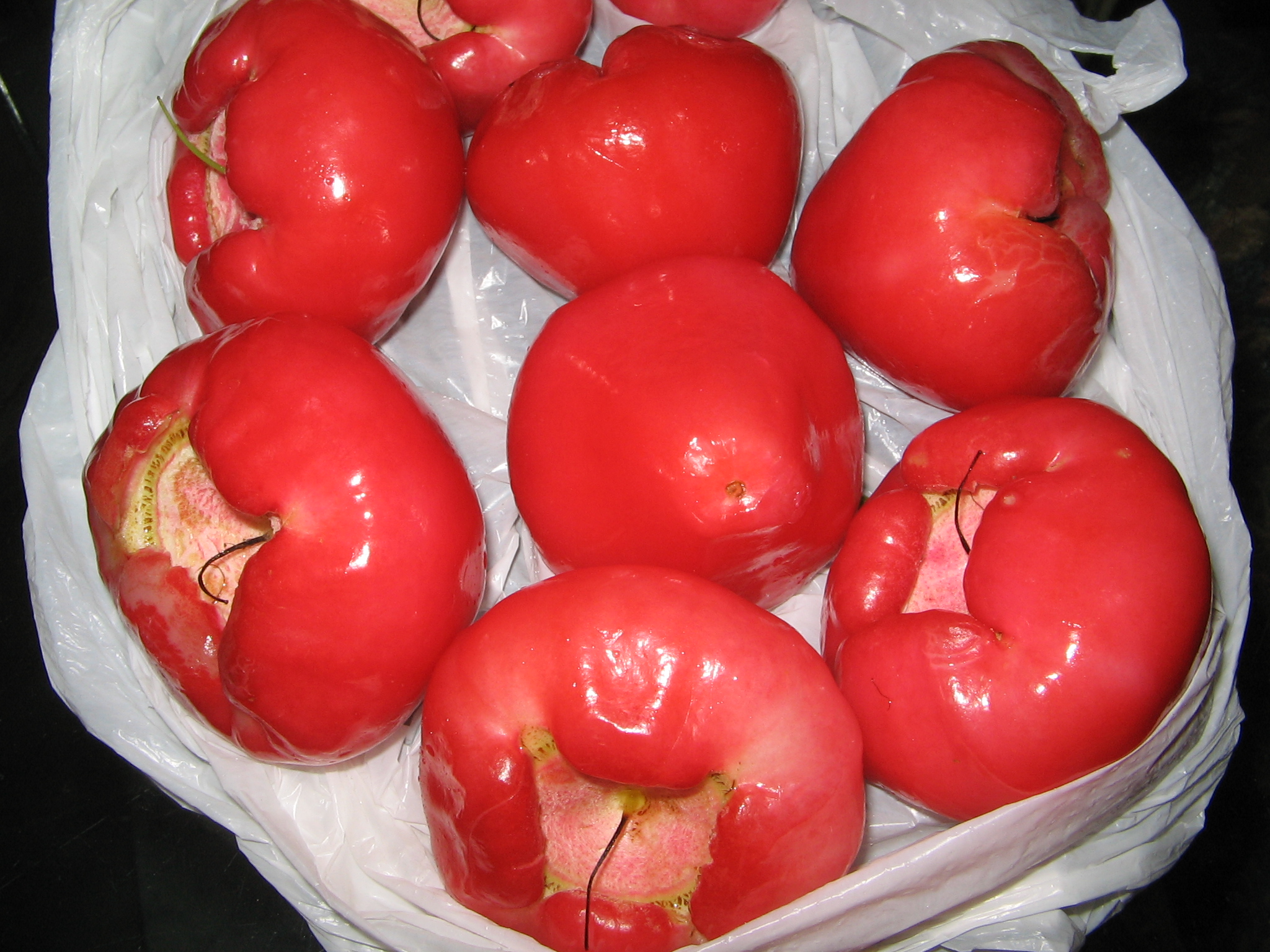 YosriBuahJambuAir