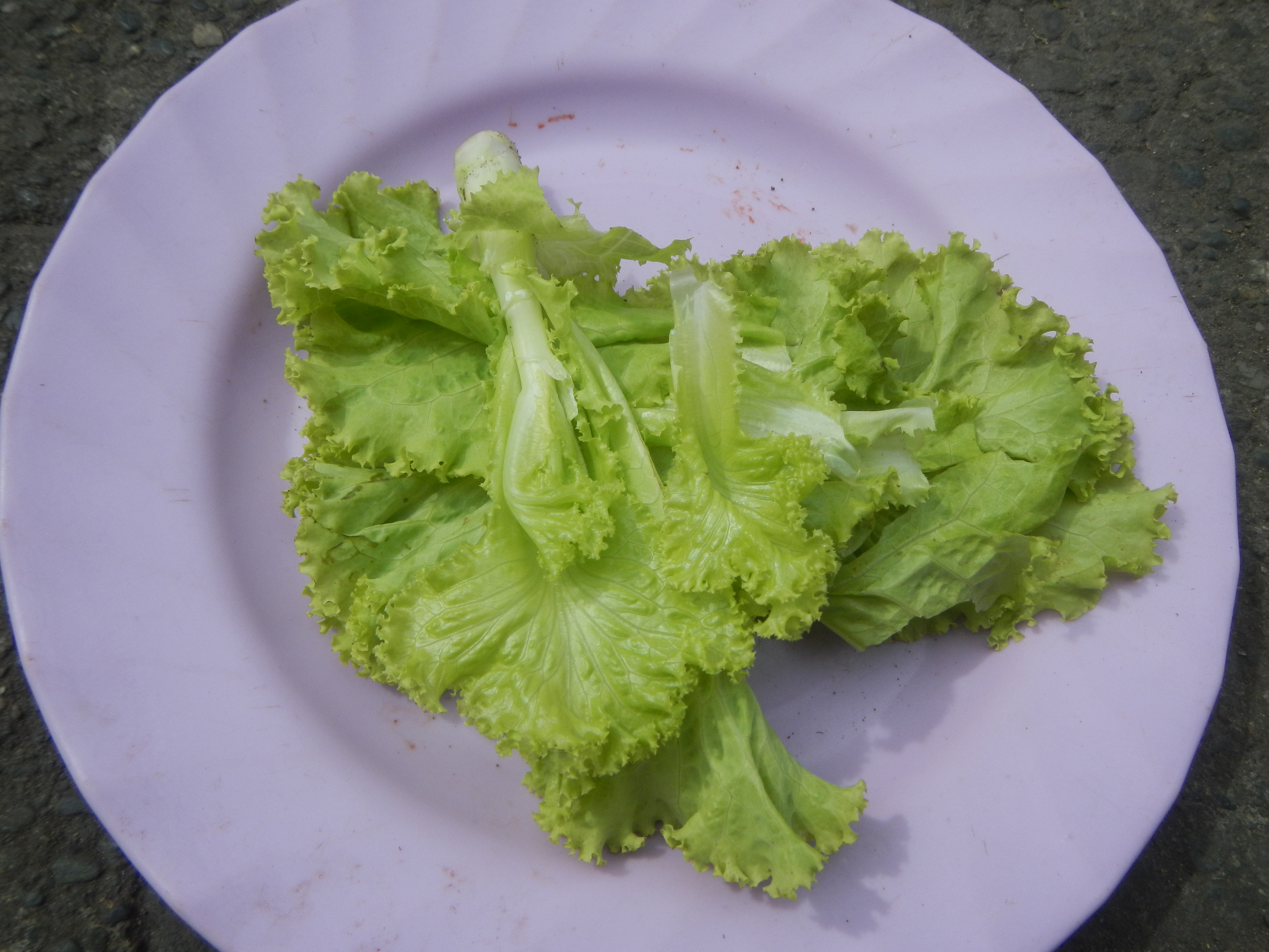 1780Foods Fruits Baliuag Bulacan Philippines 32