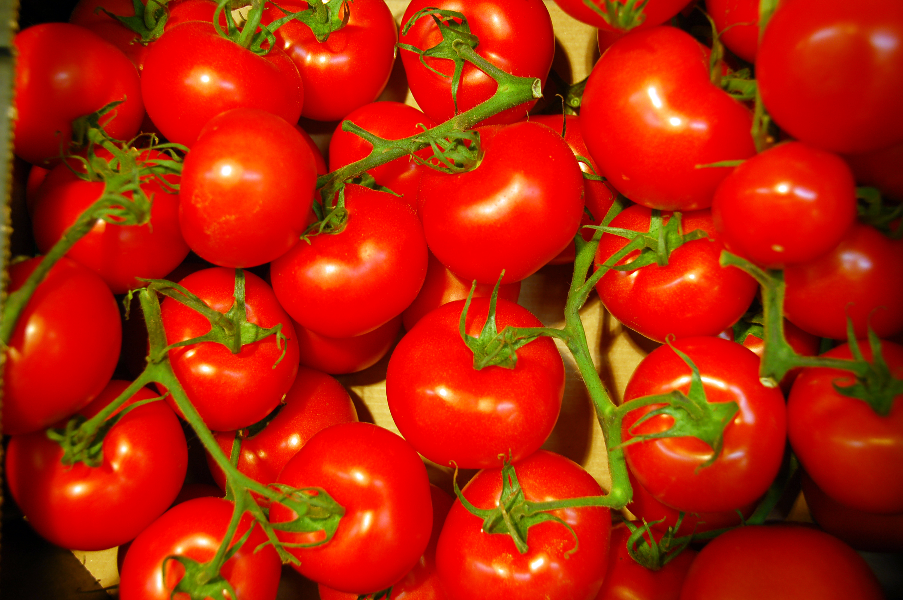 tomatoes 2010-06-19-supermarkt-by-RalfR-30