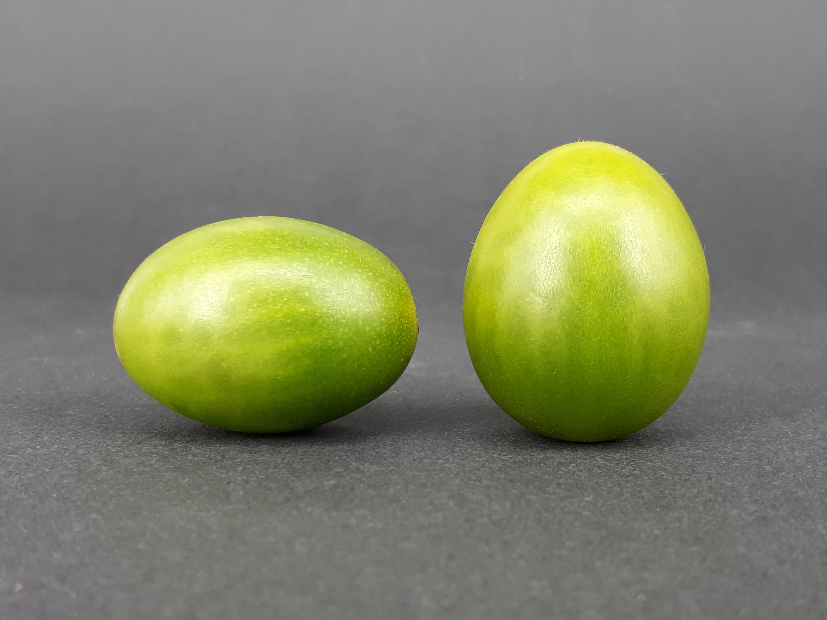 2 x Cherry Dulcemiel tomato 2017 A3