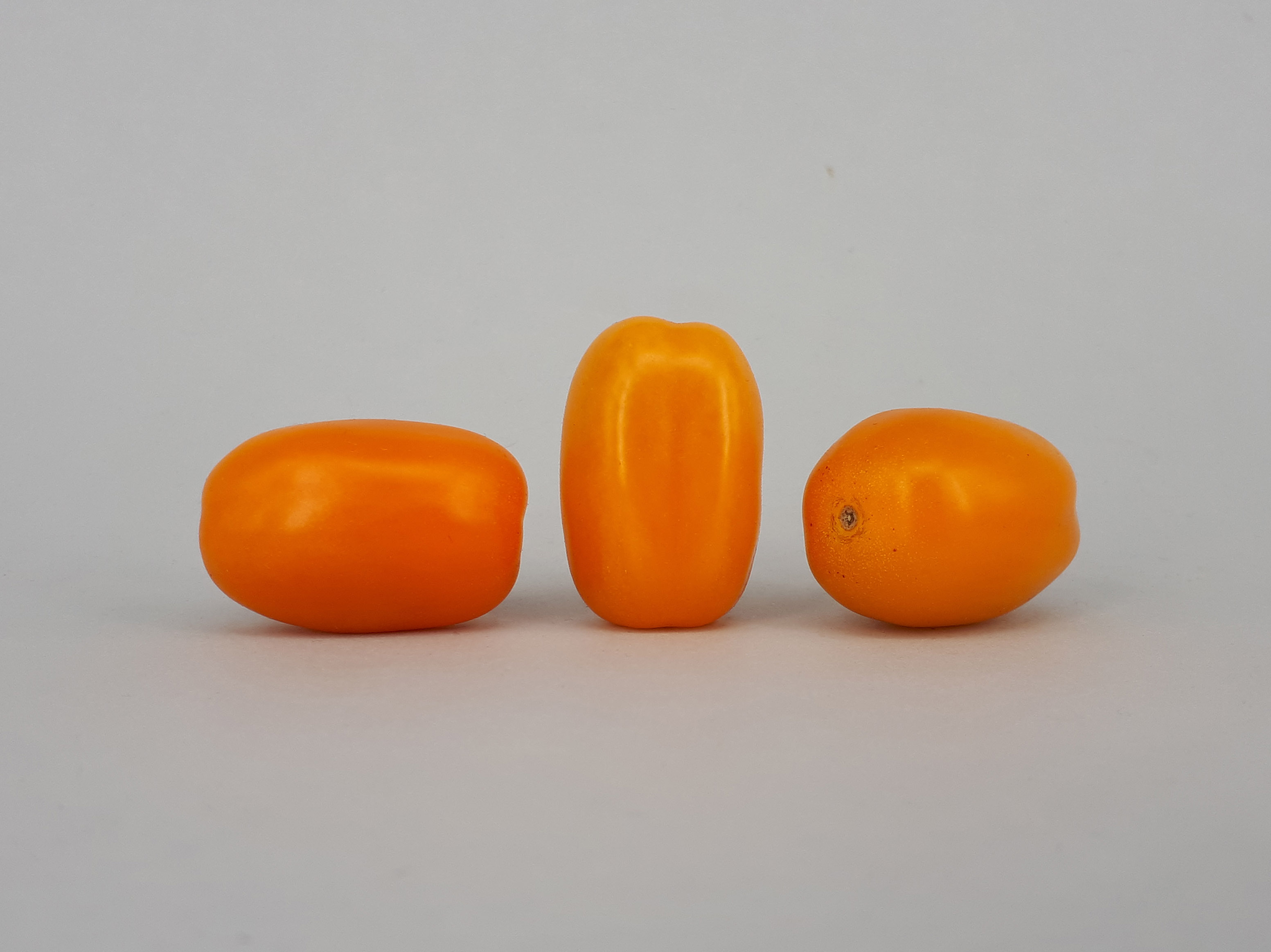 3 x Cherry Bambelo tomato 2017 A4