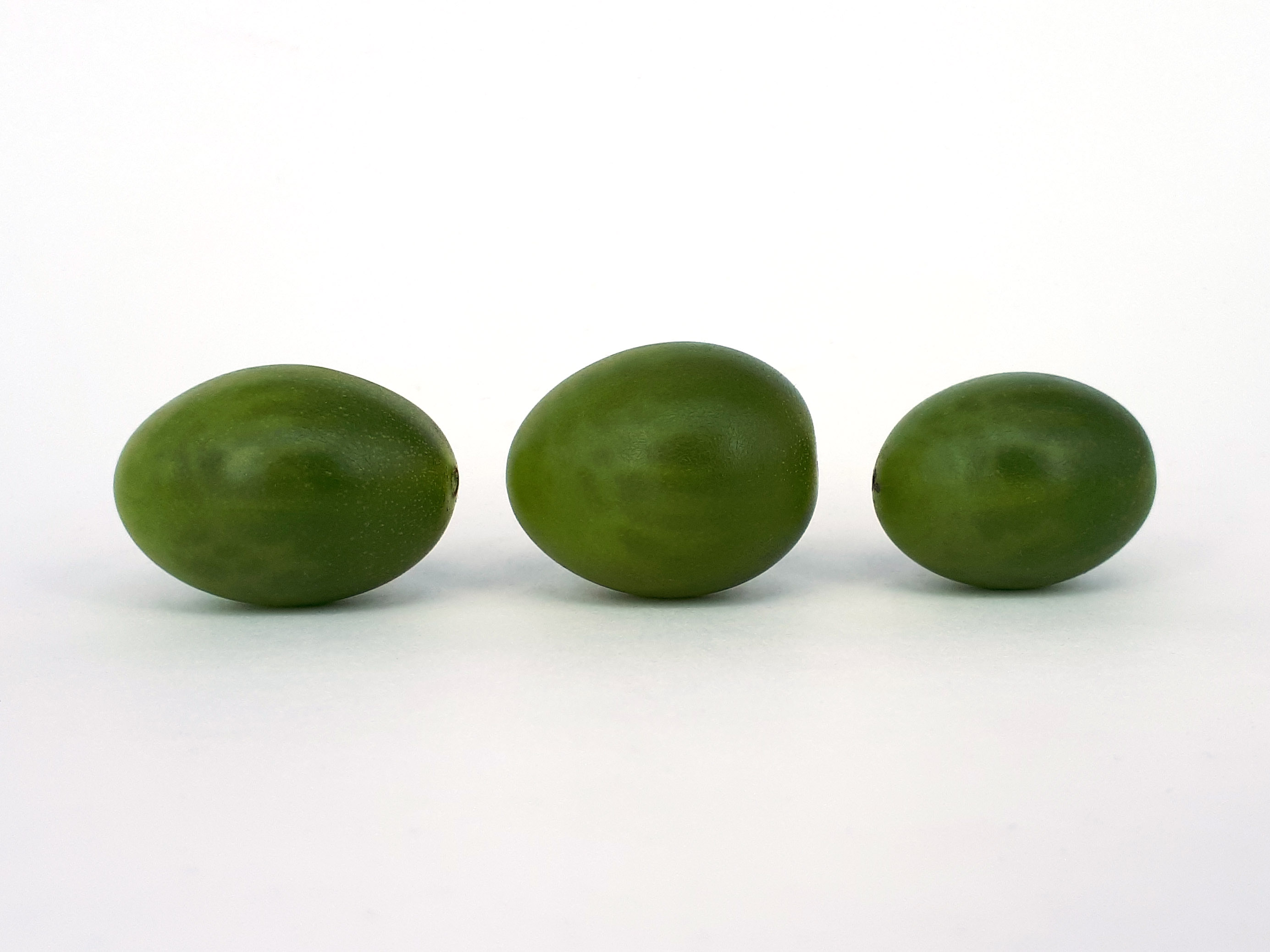3 x Cherry Dulcemiel tomato 2017 A1