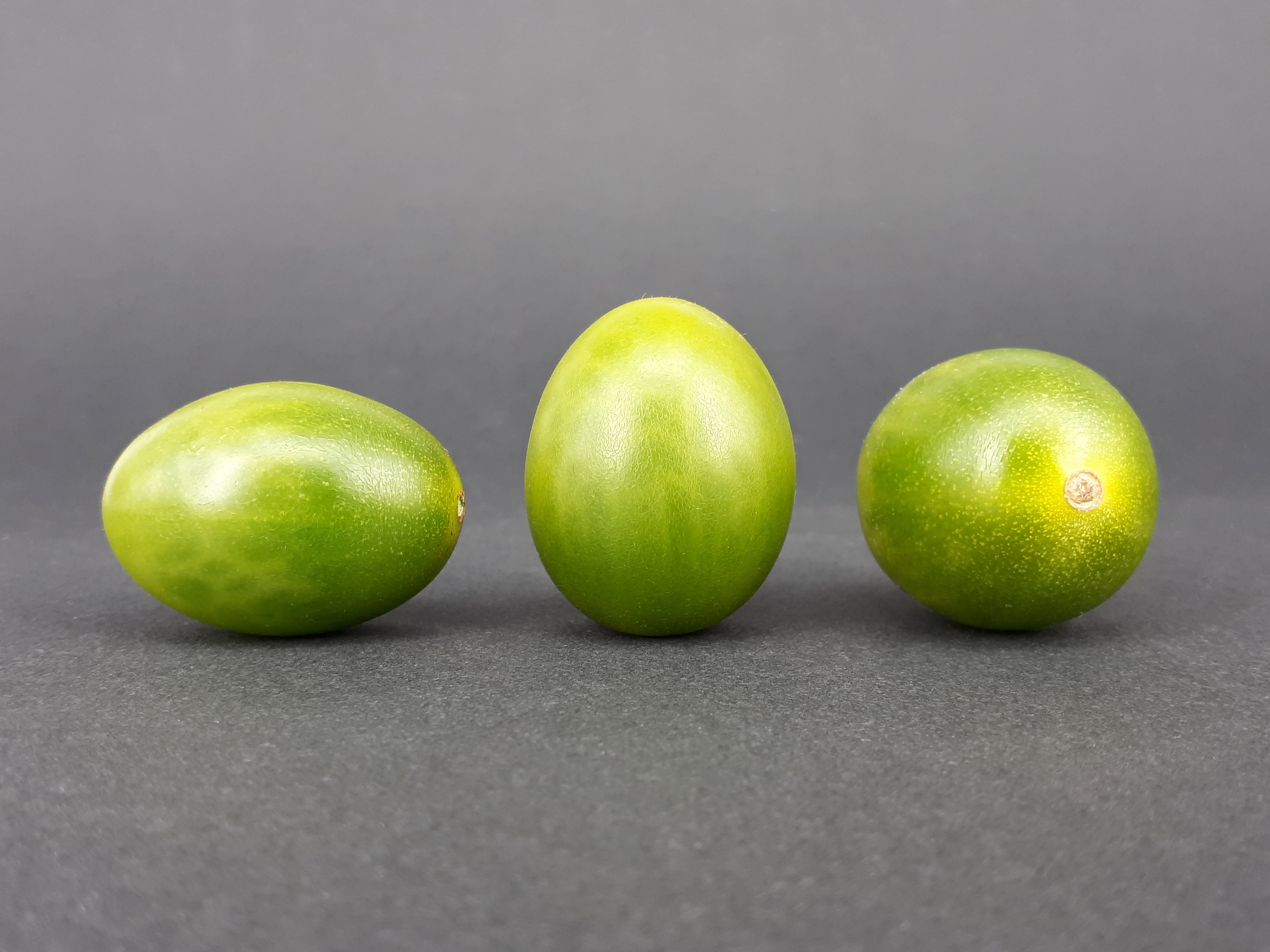 3 x Cherry Dulcemiel tomato 2017 A5