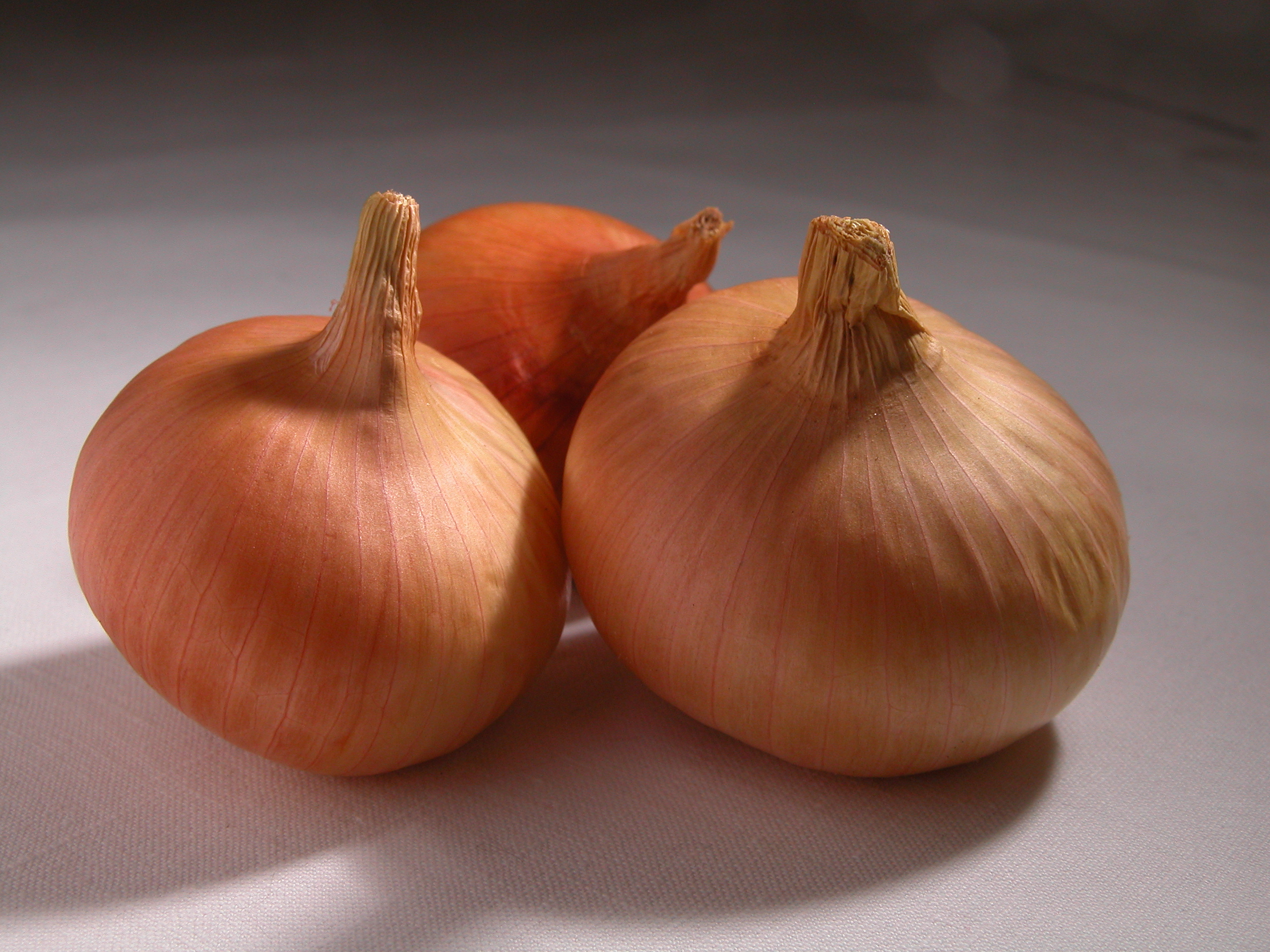 Alliumcepa