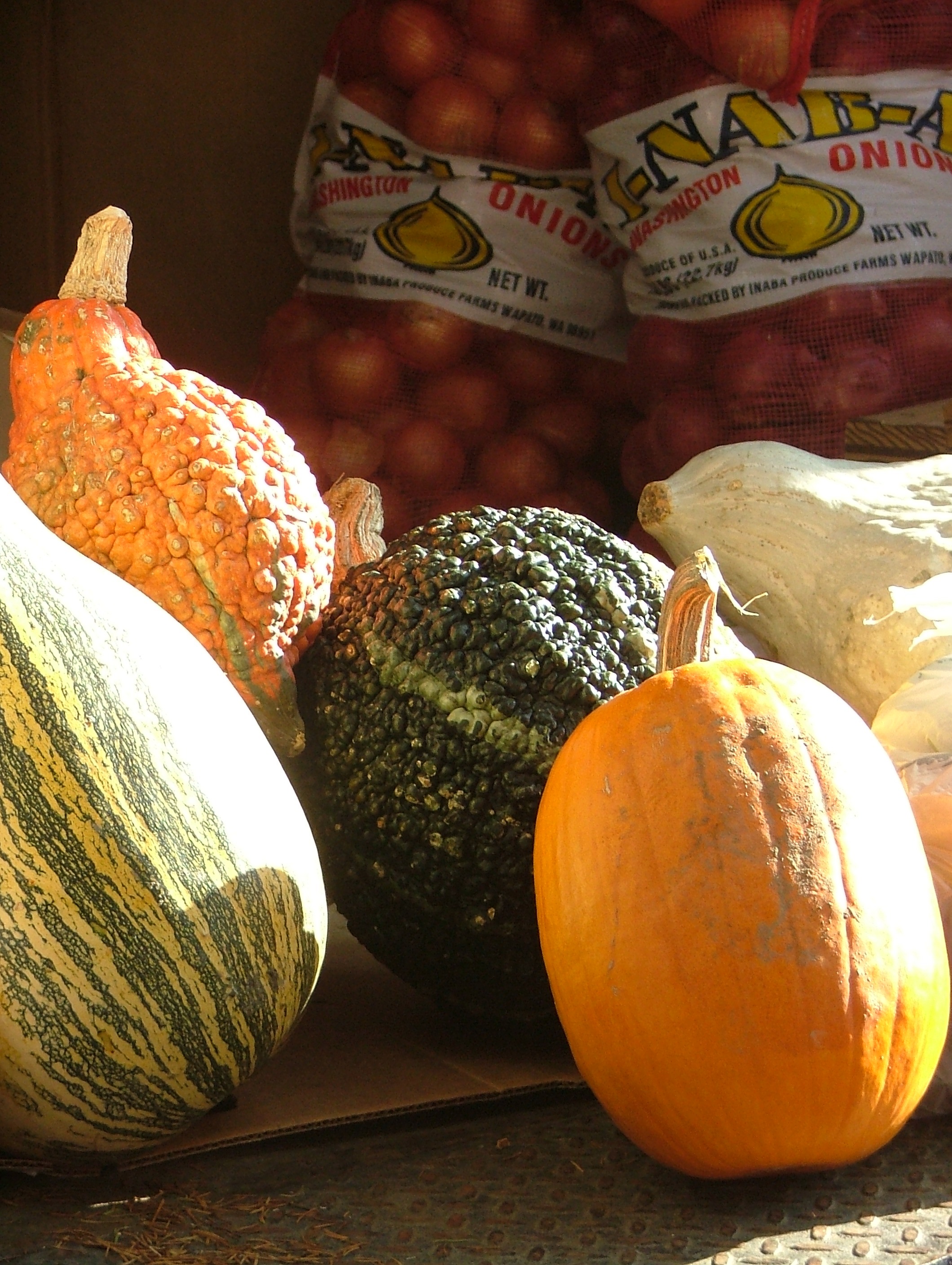 Assorted unidentified variety Gourds