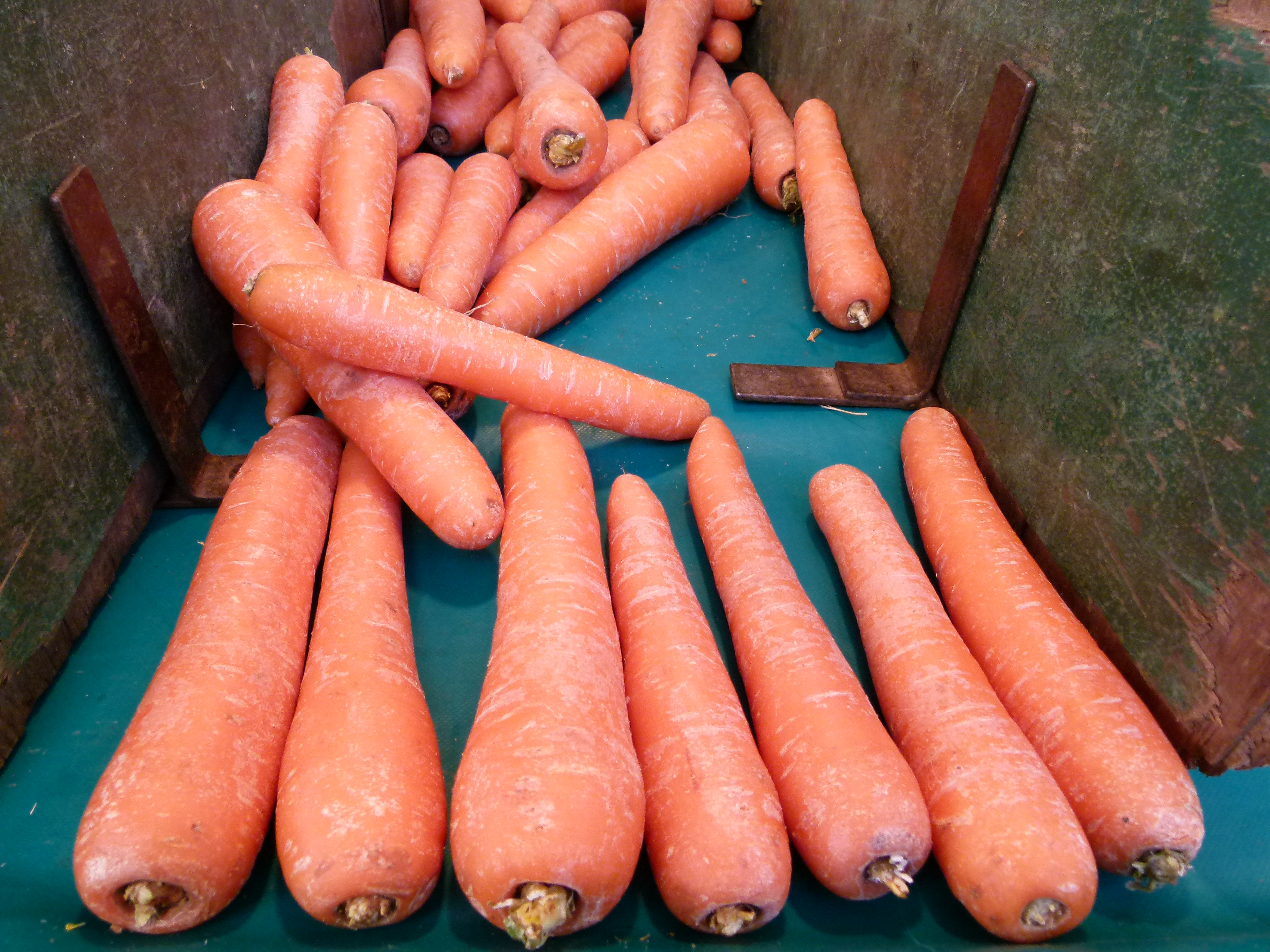 Au marché - Carottes