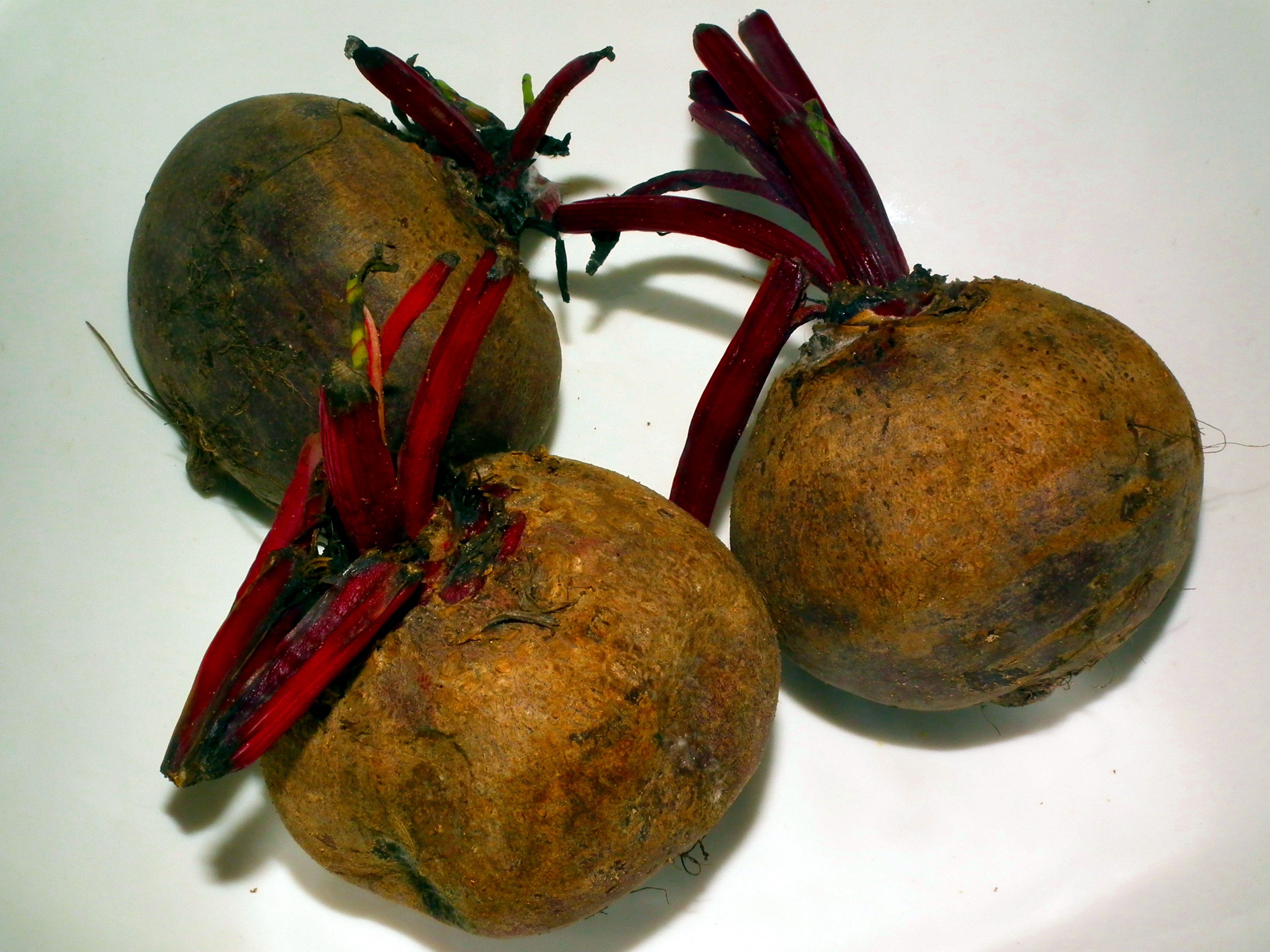 Beetroot on plate