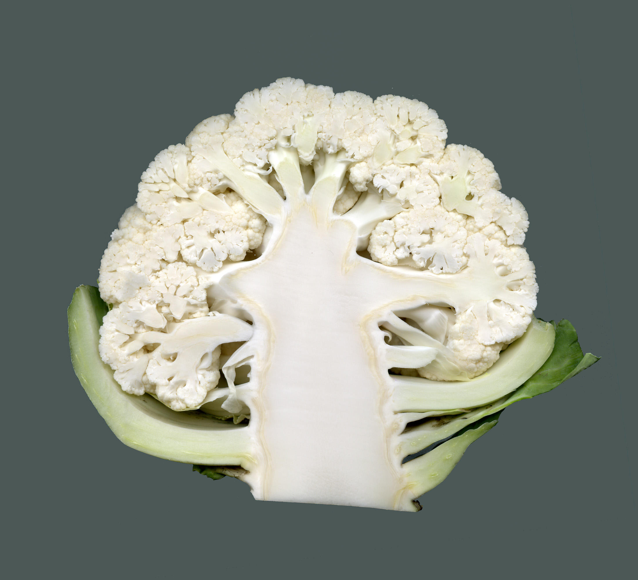 Blumenkohl-1