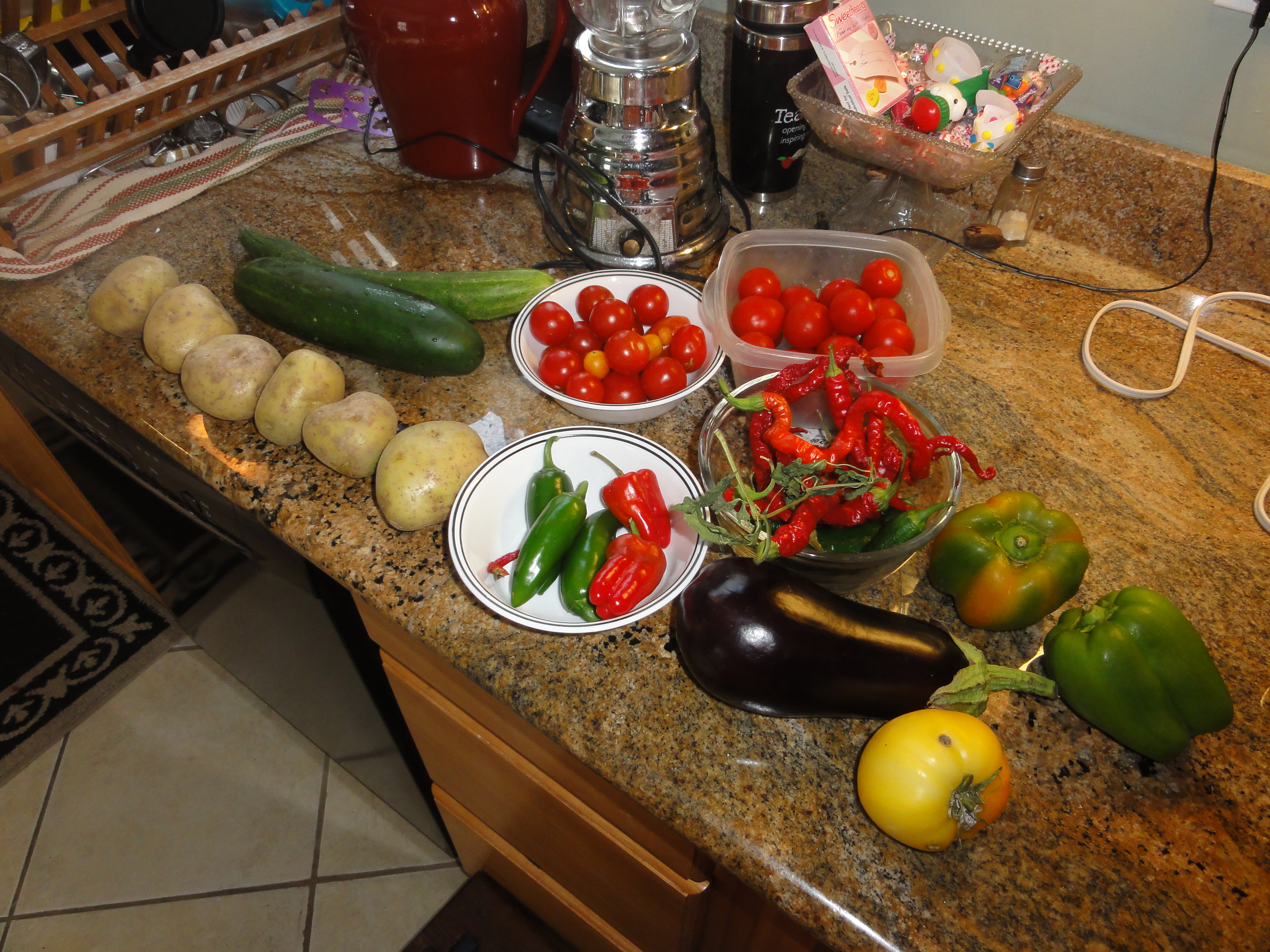 Bounty in Mid-City New Orleans
