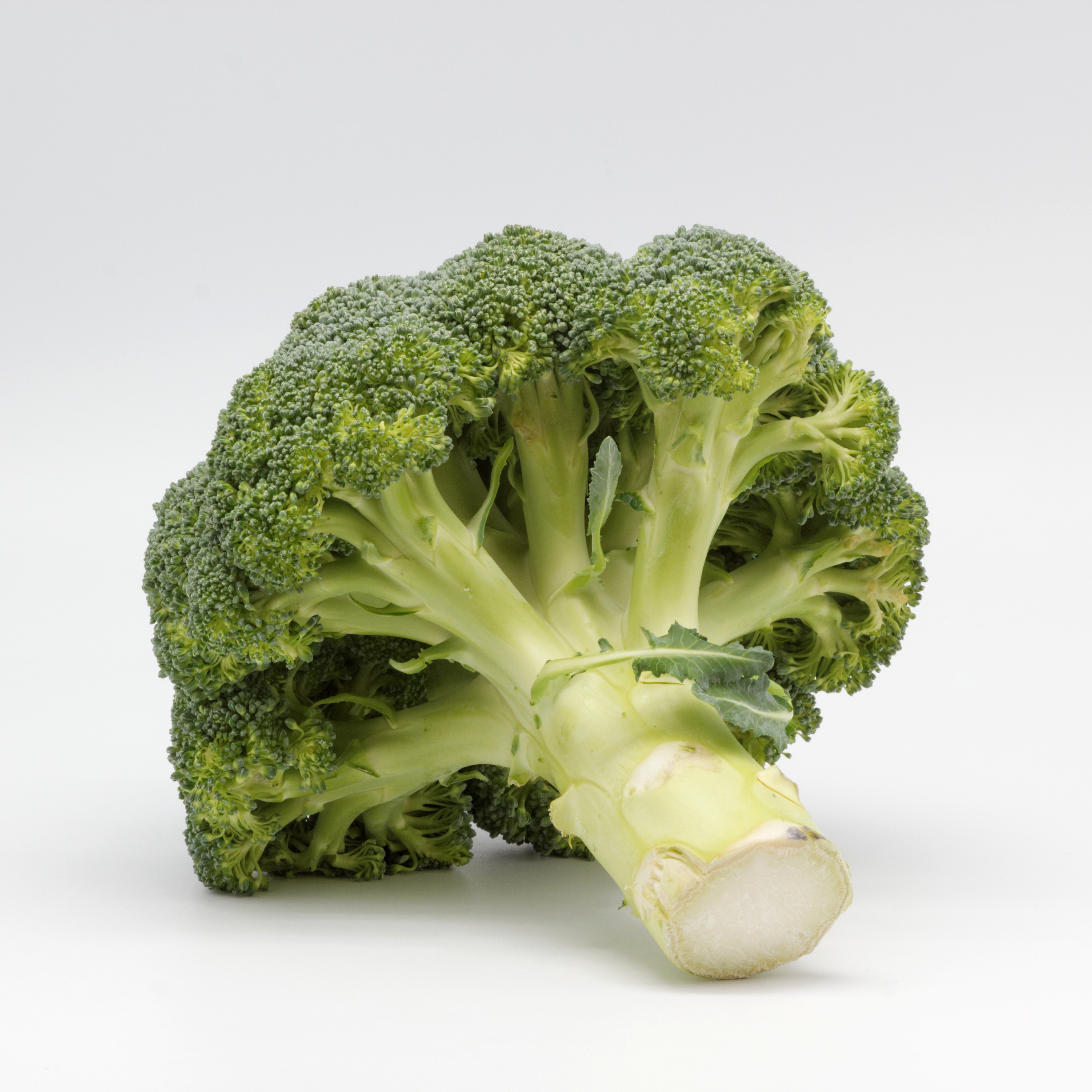 Brocoli 03
