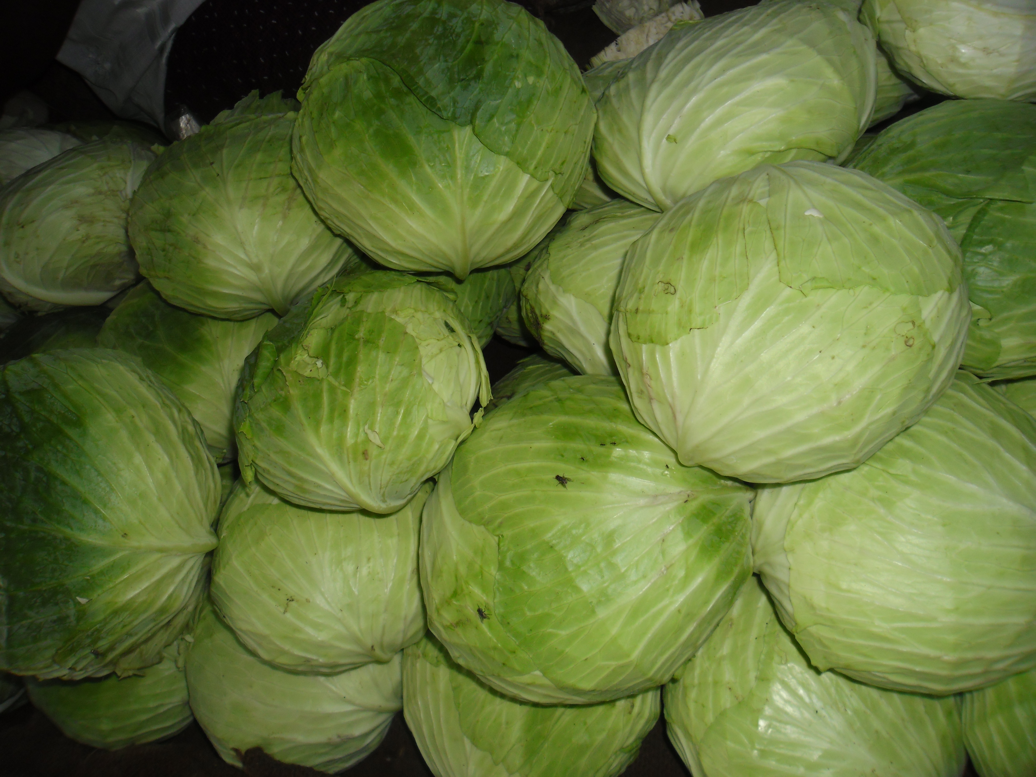 Cabbage bundle