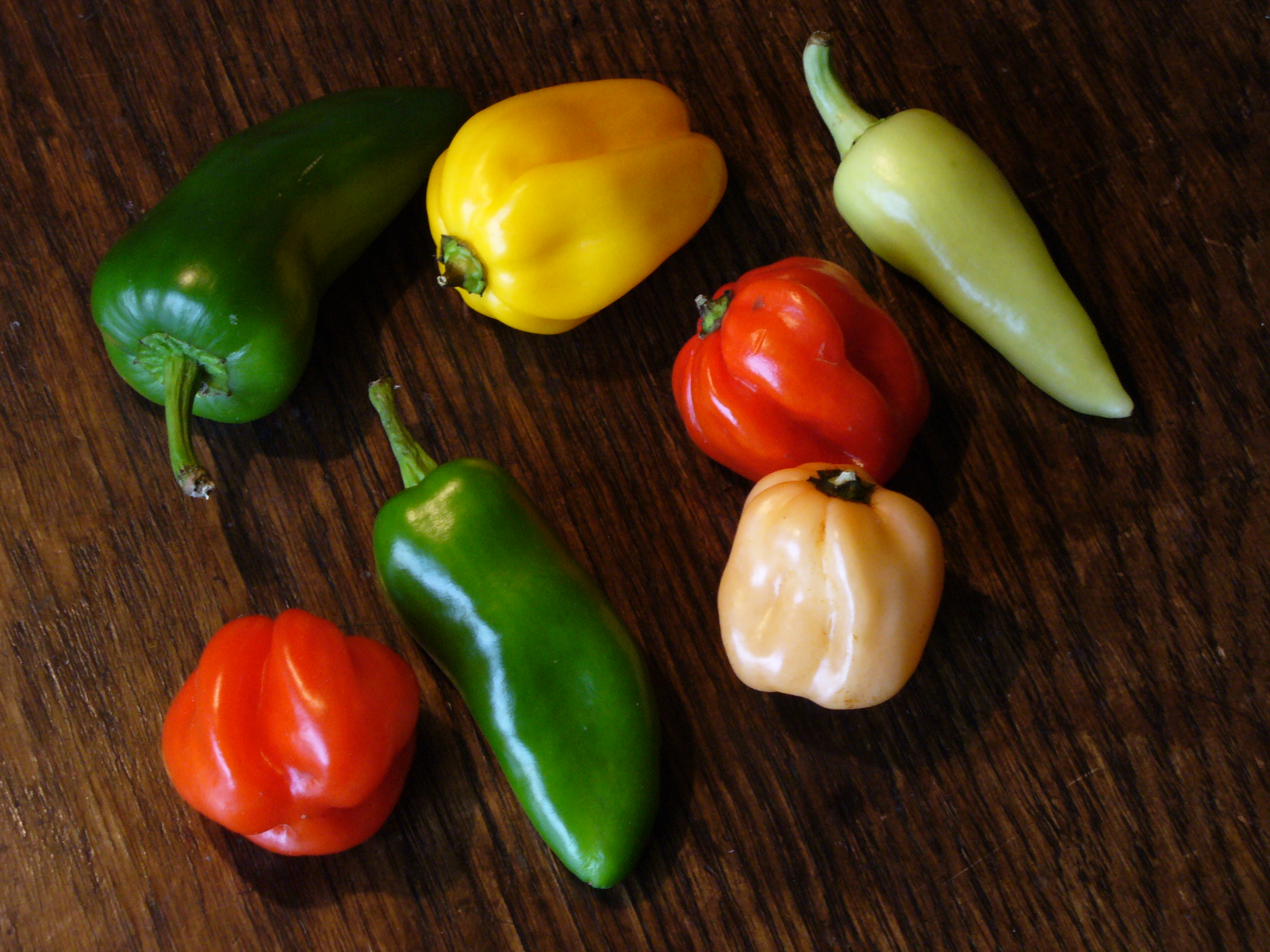 Capsicum-hot-0562