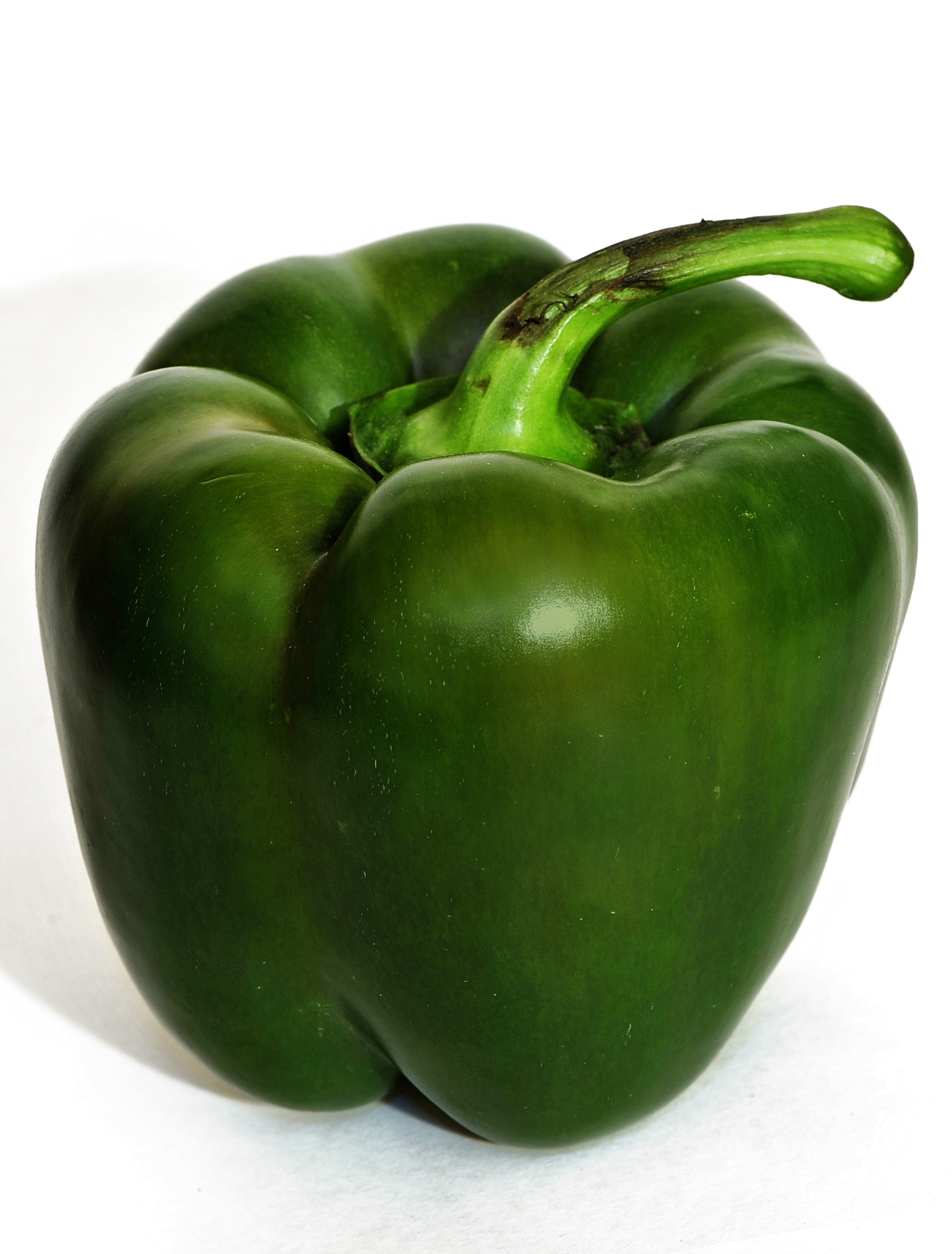 Capsicum3