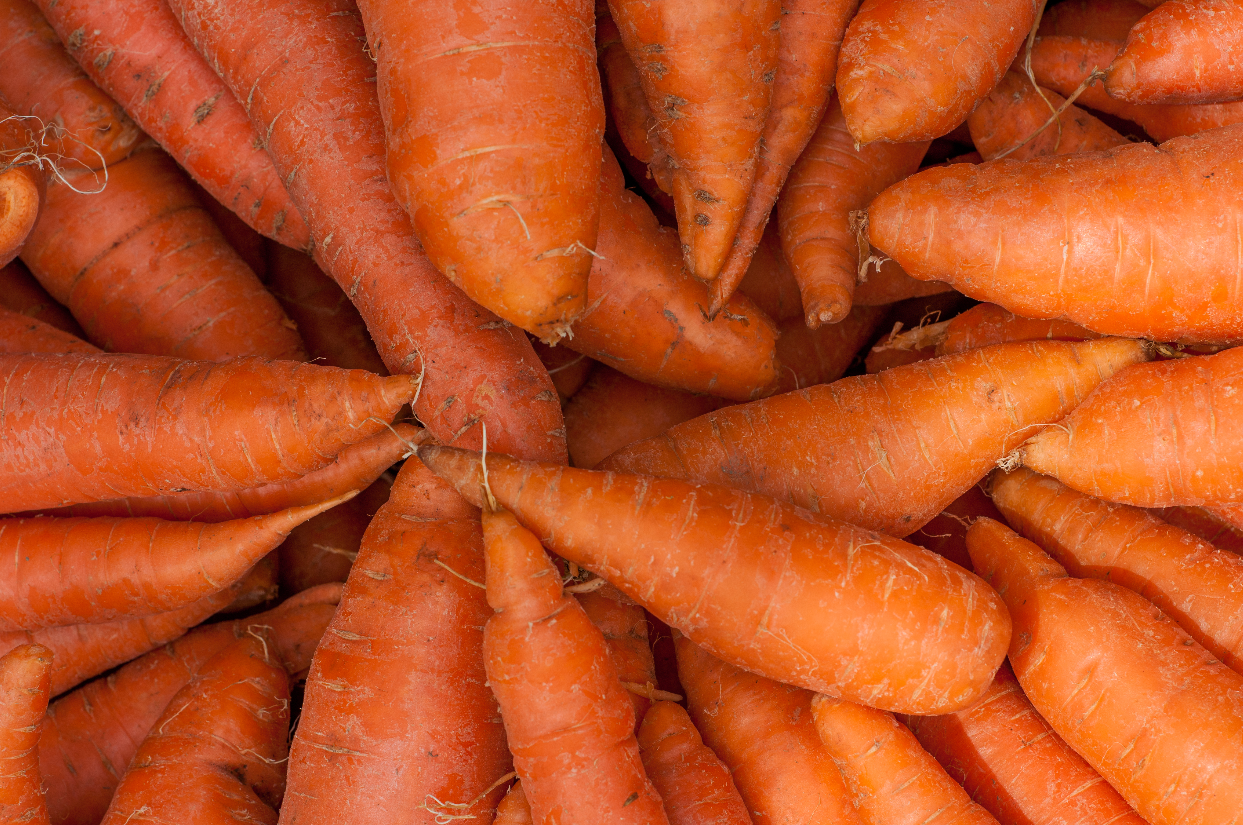 Carrots .