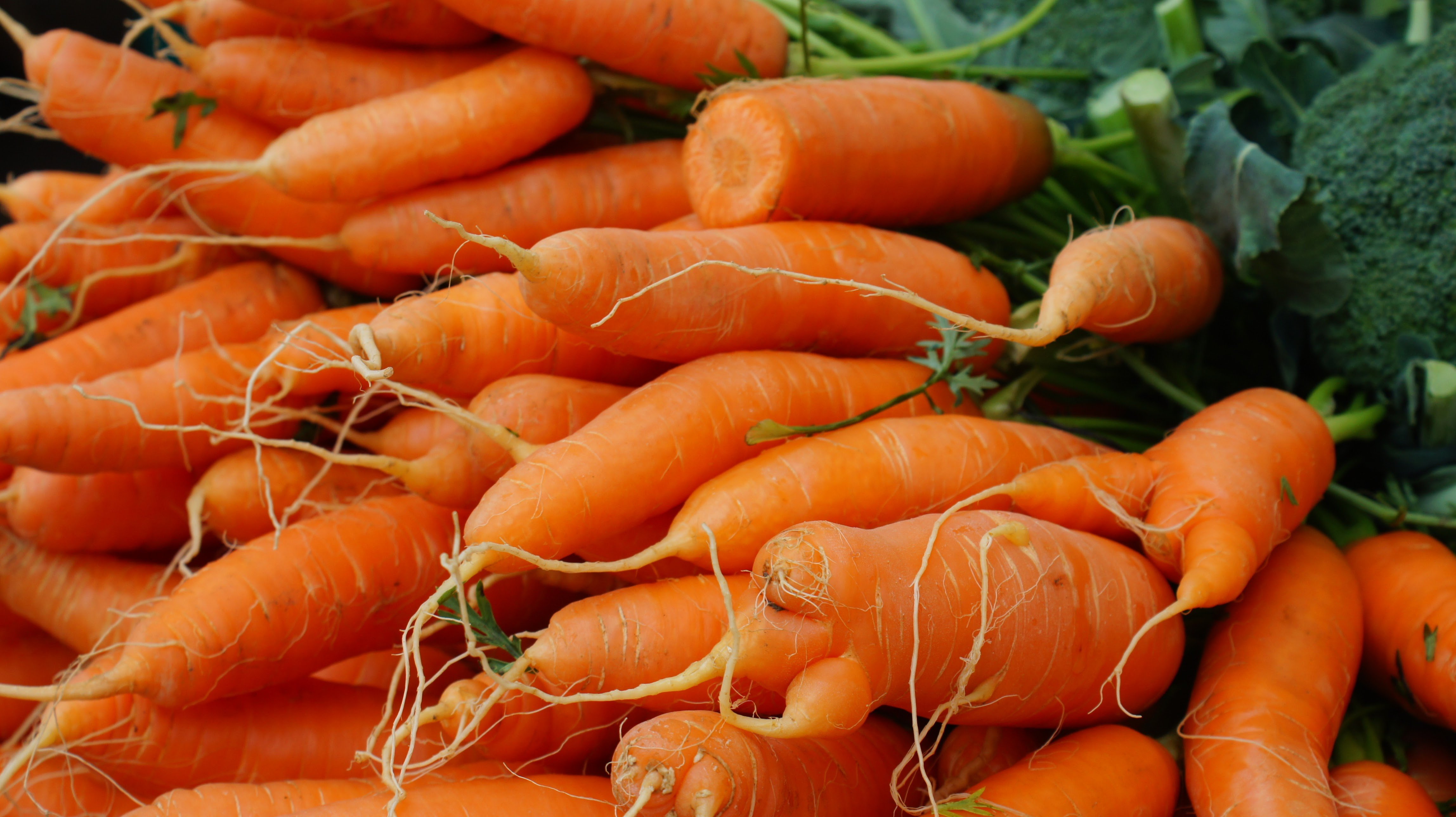 Carrots at Ljubljana Central Market