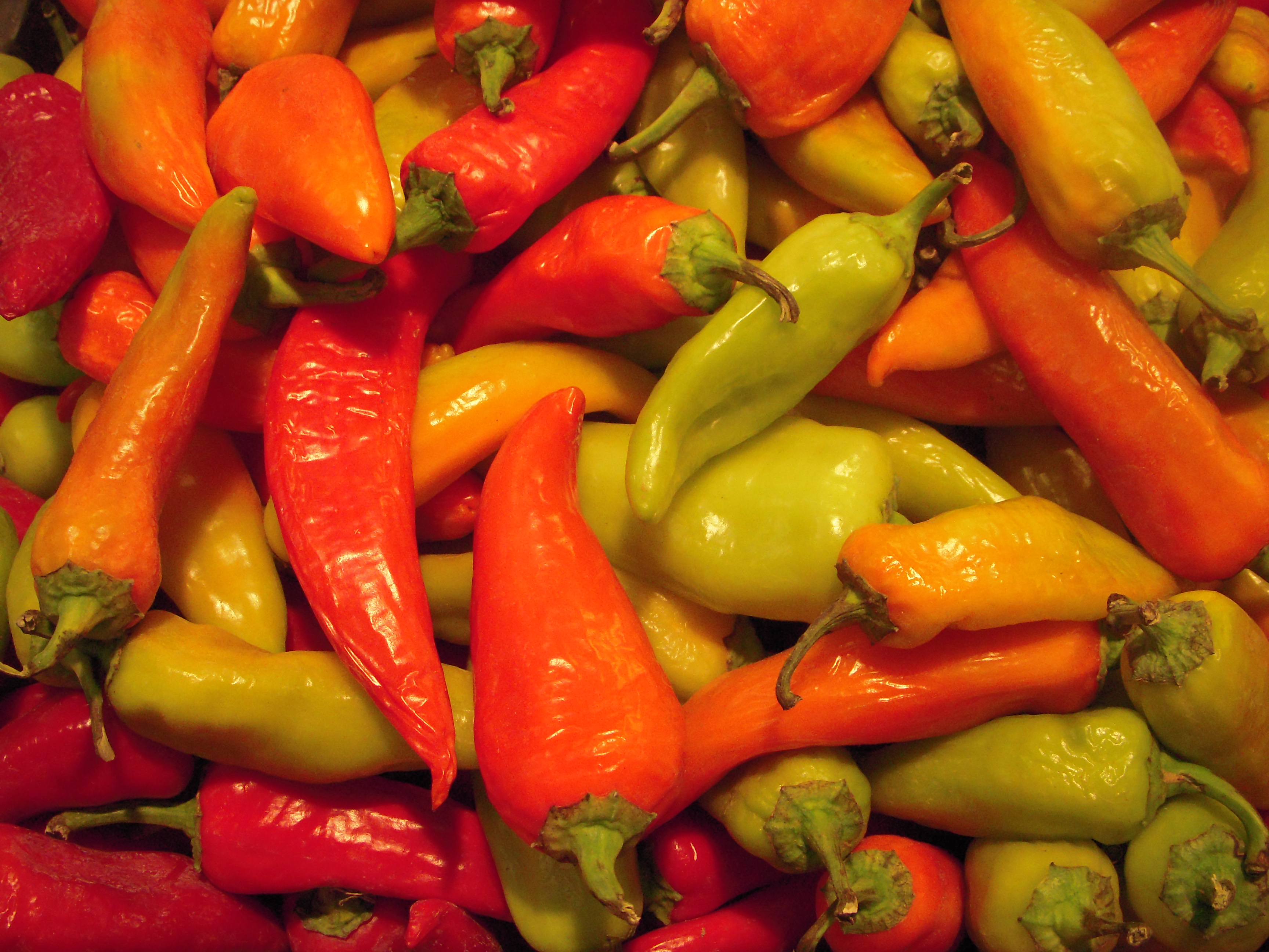 Chili from Budapest