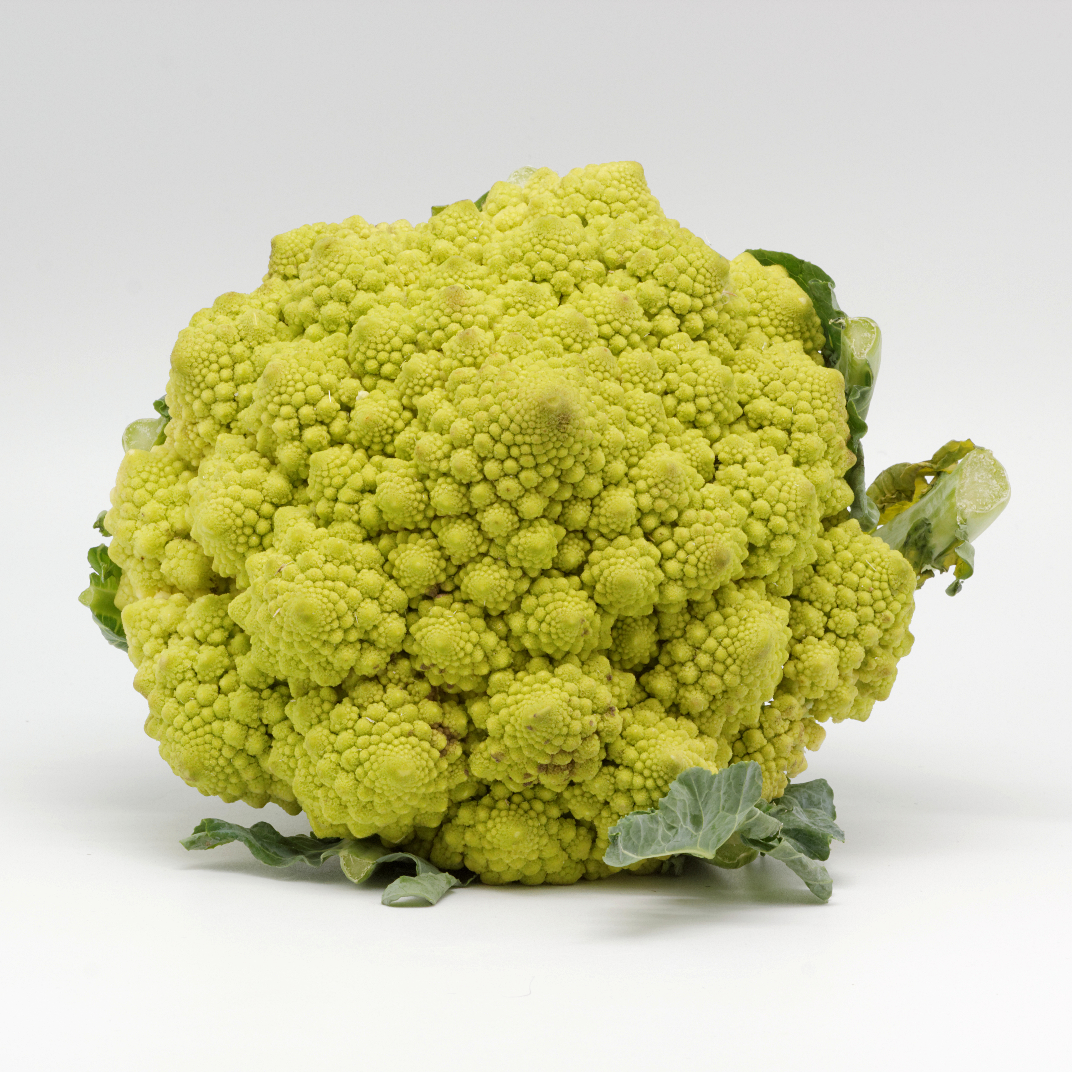 Chou romanesco 02
