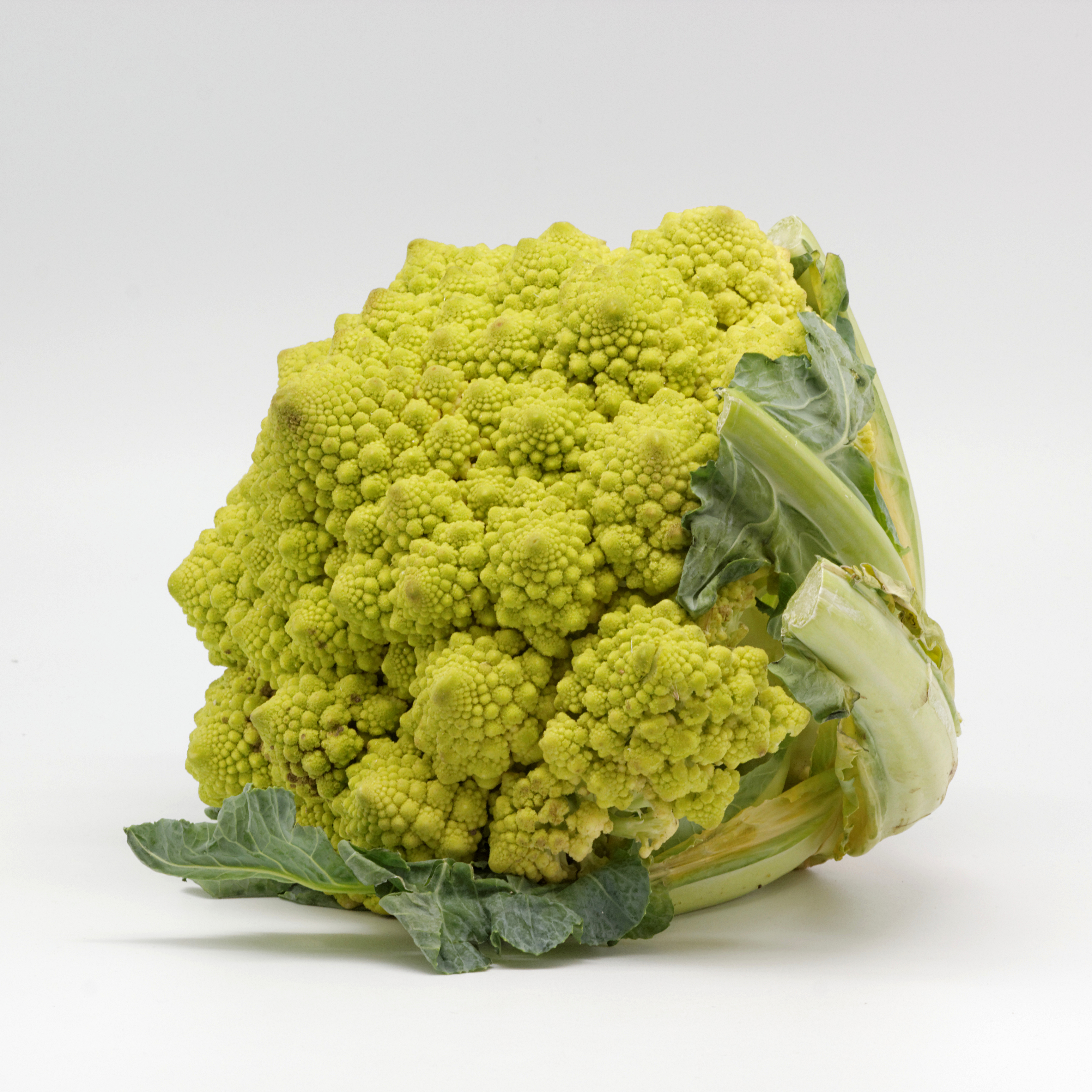 Chou romanesco 03