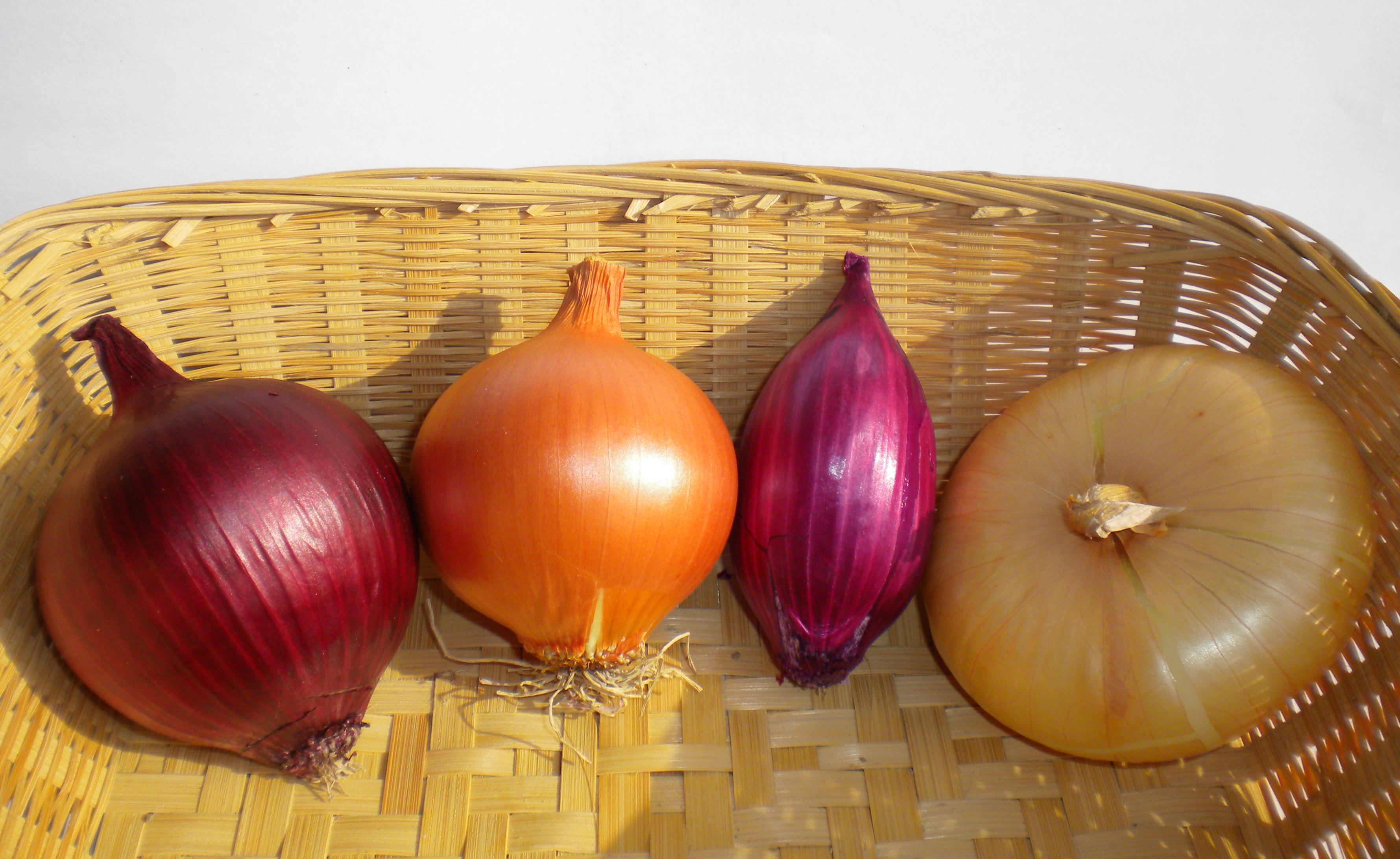 Cipolle di Cannara