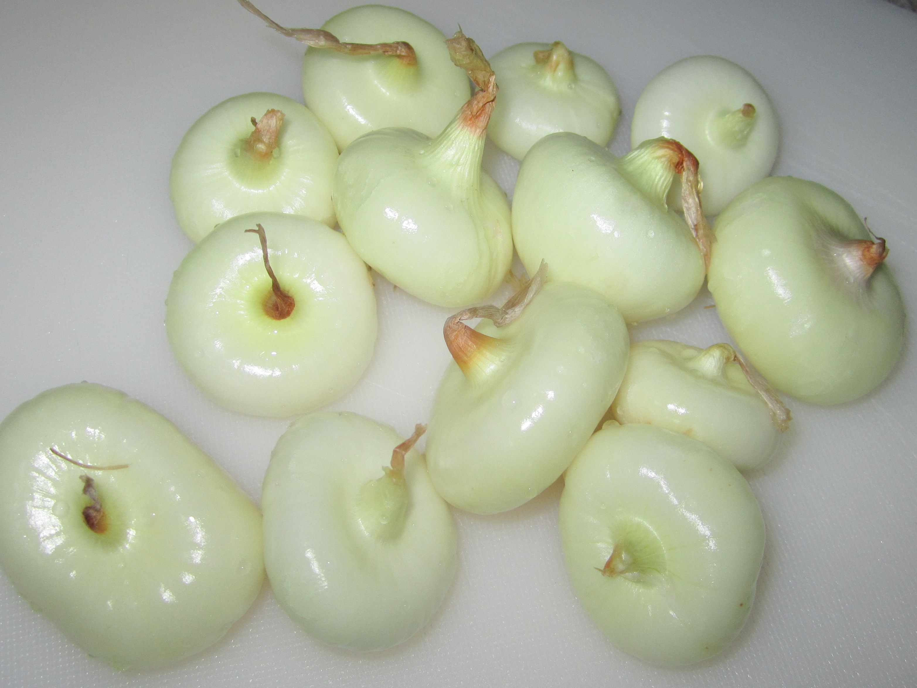CipollineOnions