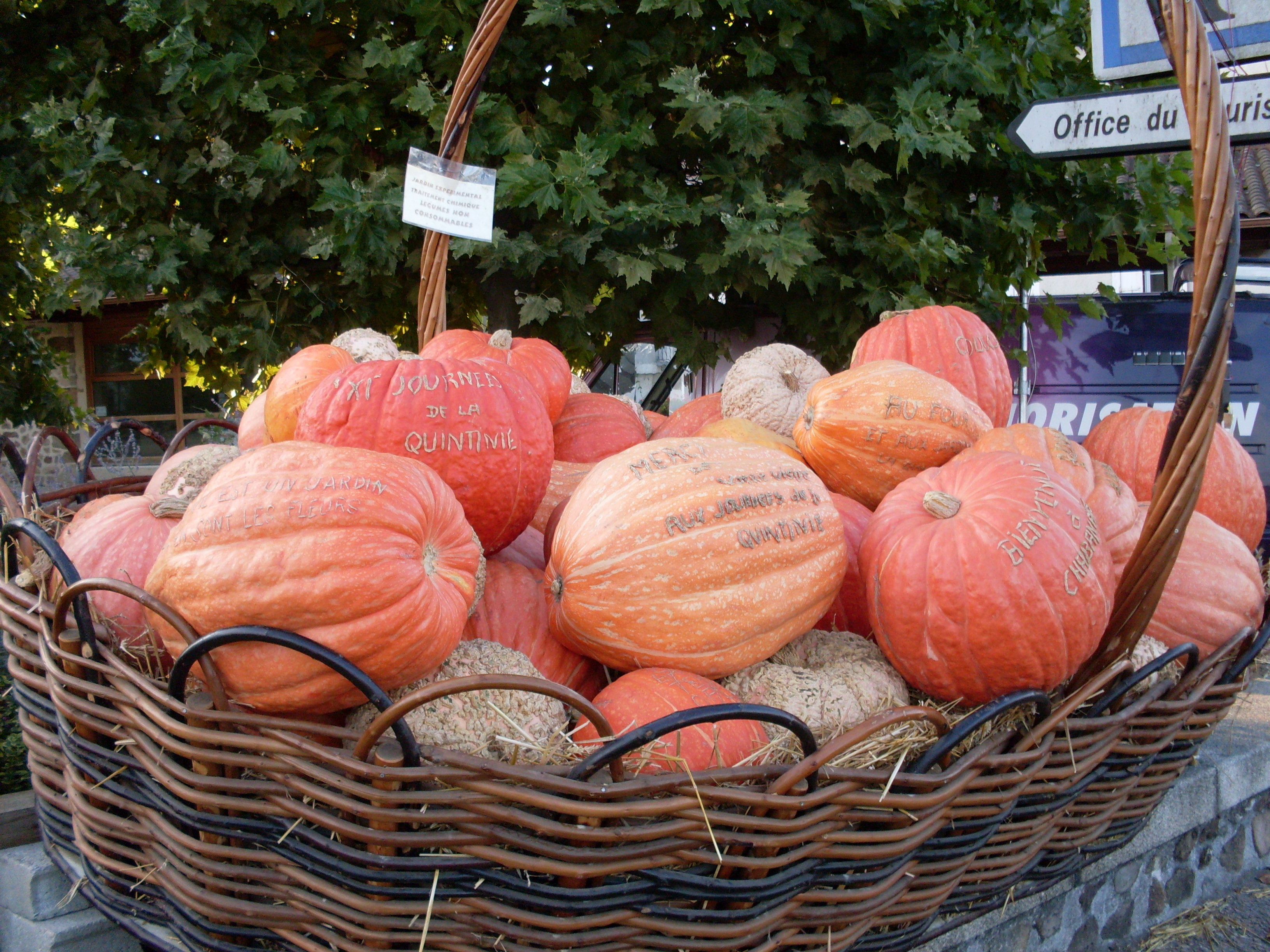 Citrouilles Chabanais